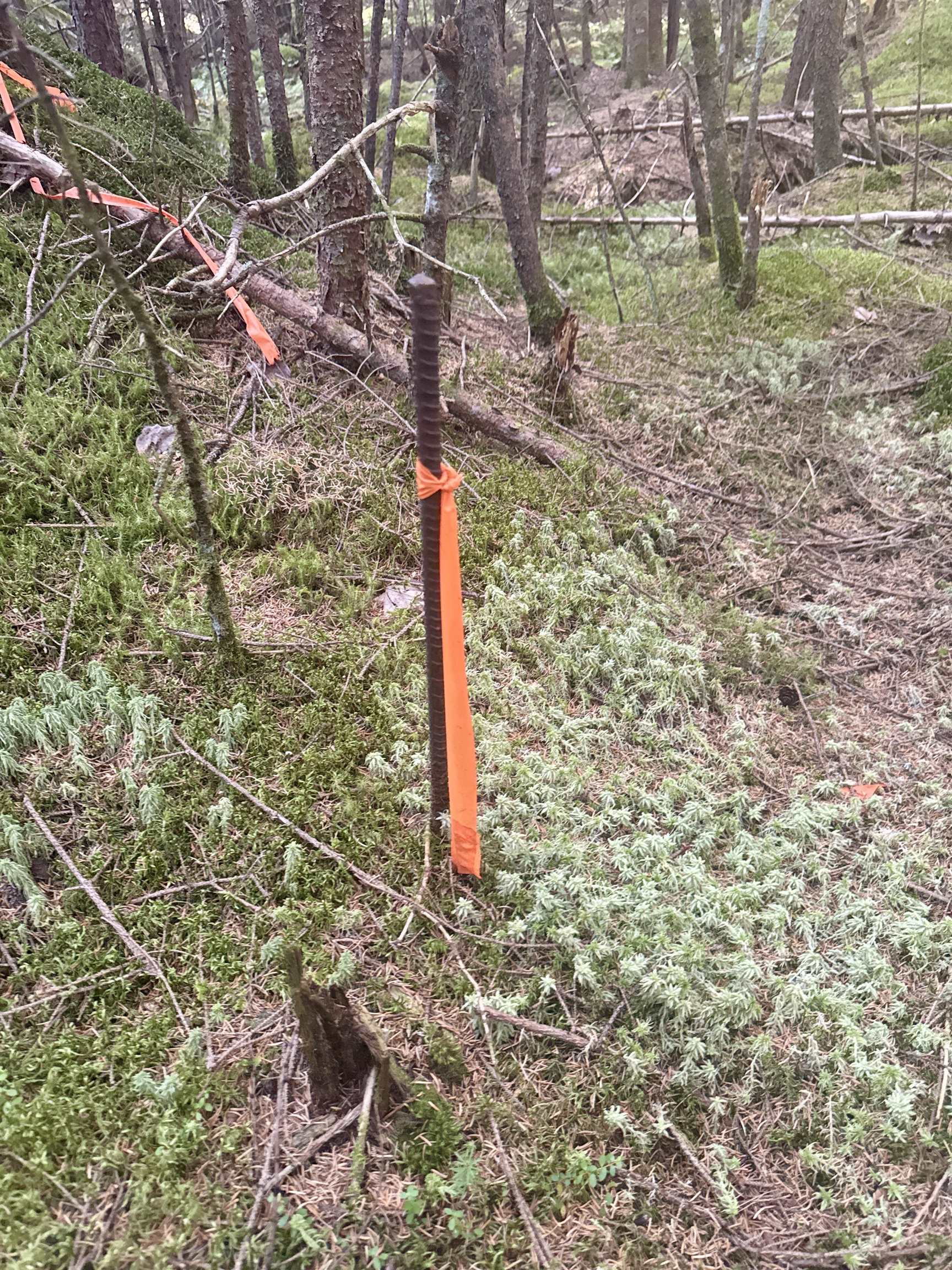 0 Thorn Hill Road 406/22