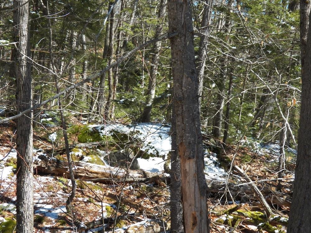 15-50 Faxon Hill Road