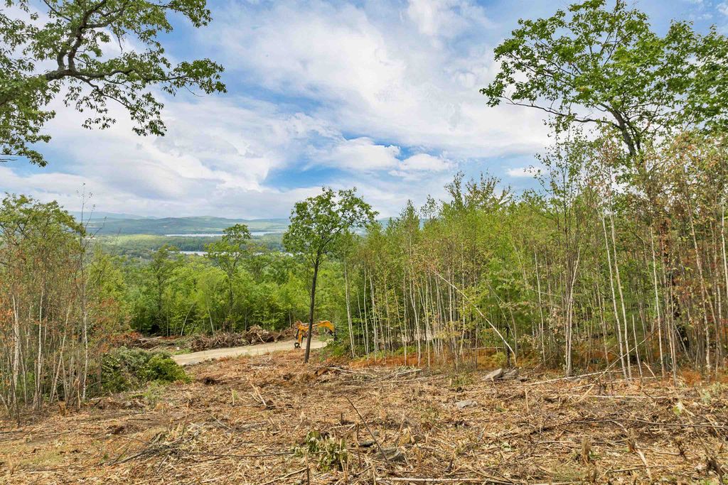 Photo of 0 Long Stack Lane #37, Wolfeboro, NH 03894 (MLS # 5060567)