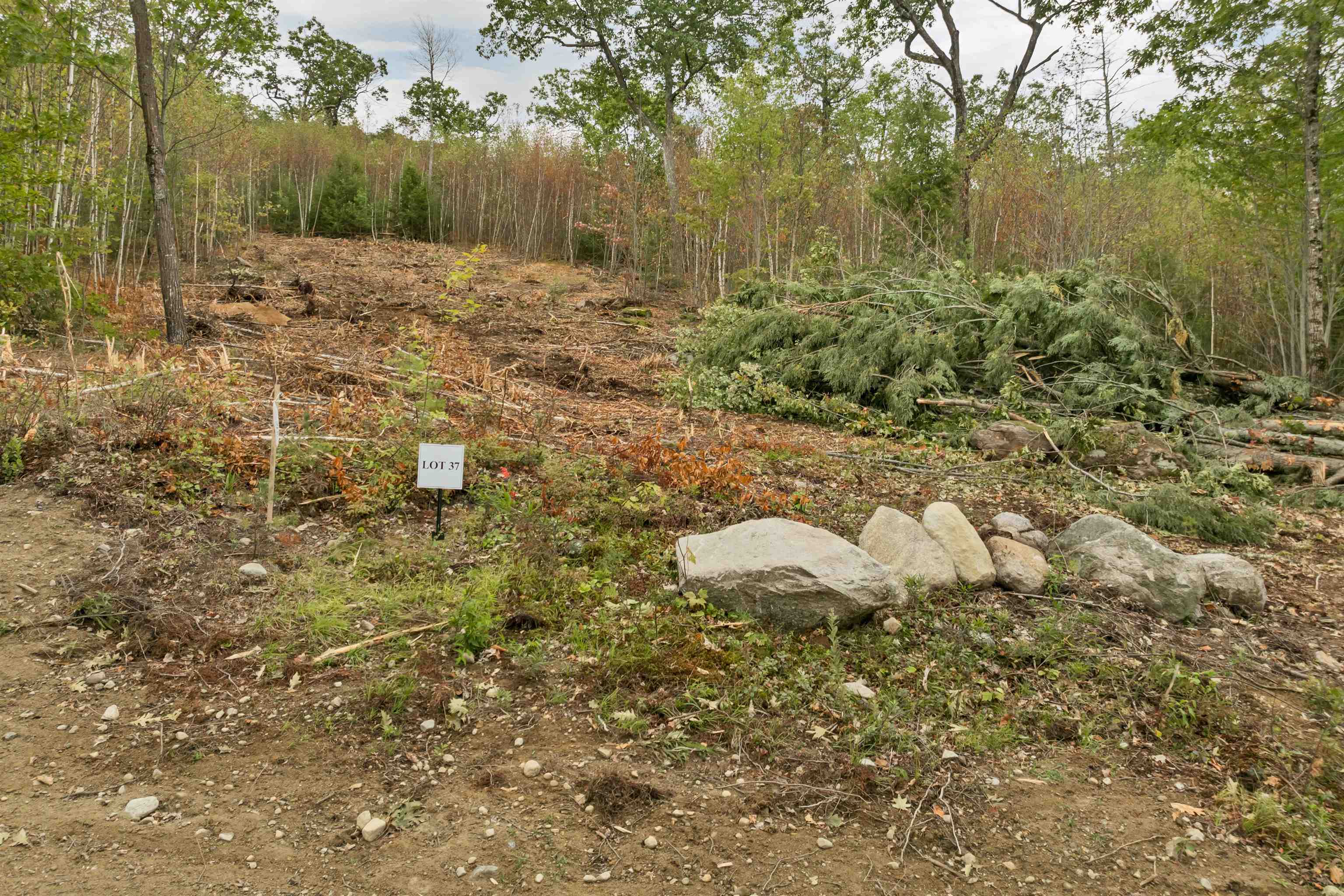 0 Long Stack Lane 37