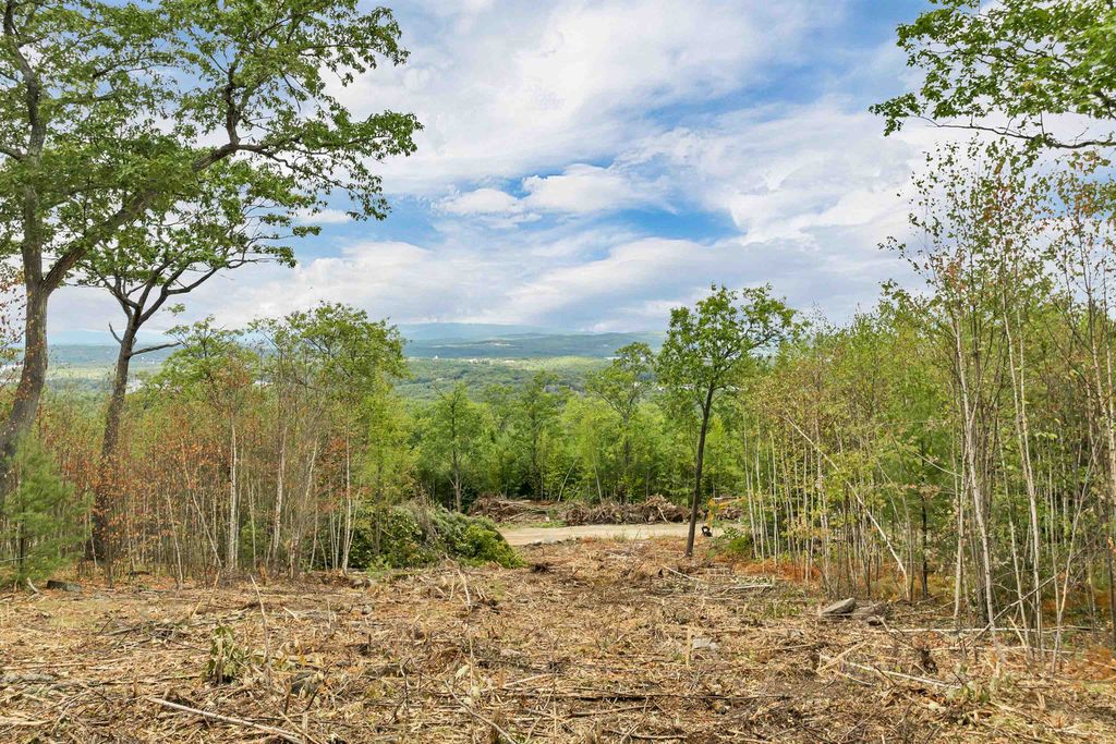 Photo of 0 Long Stack Lane #37, Wolfeboro, NH 03894 (MLS # 5060567)