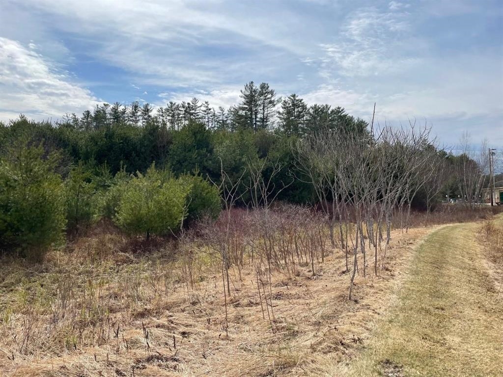 Plymouth, New Hampshire 03264, United States, ,Land,Active,47714