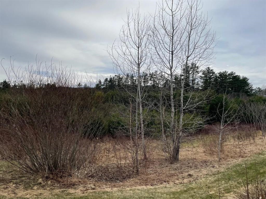 Plymouth, New Hampshire 03264, United States, ,Land,Active,47714