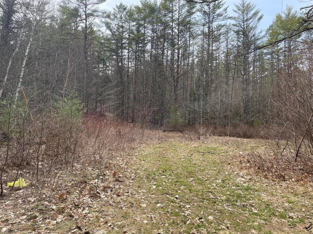 Plymouth, New Hampshire 03264, United States, ,Land,Active,47714