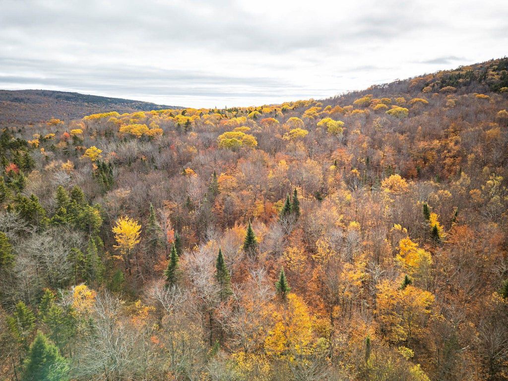 Photo of 00 Orange Road, Alexandria, NH 03222 (MLS # 5067442)