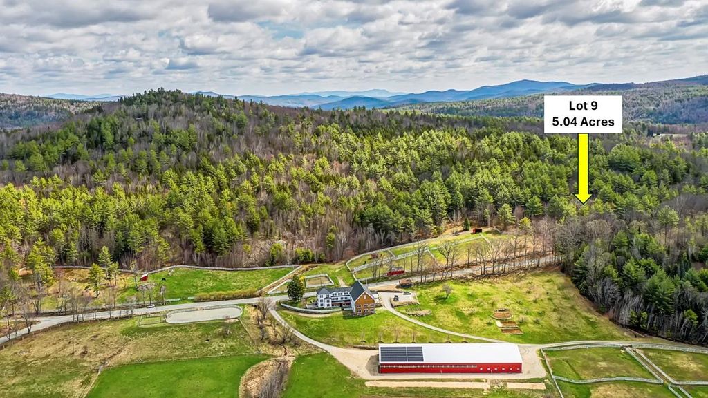 Photo of 410090009 Eastern District Road #9, Danbury, NH 03230 (MLS # 5081569)