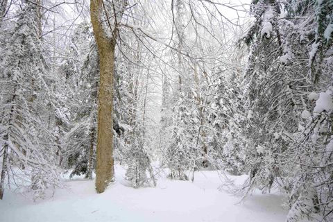 0000 Baird Road Newark VT 05871