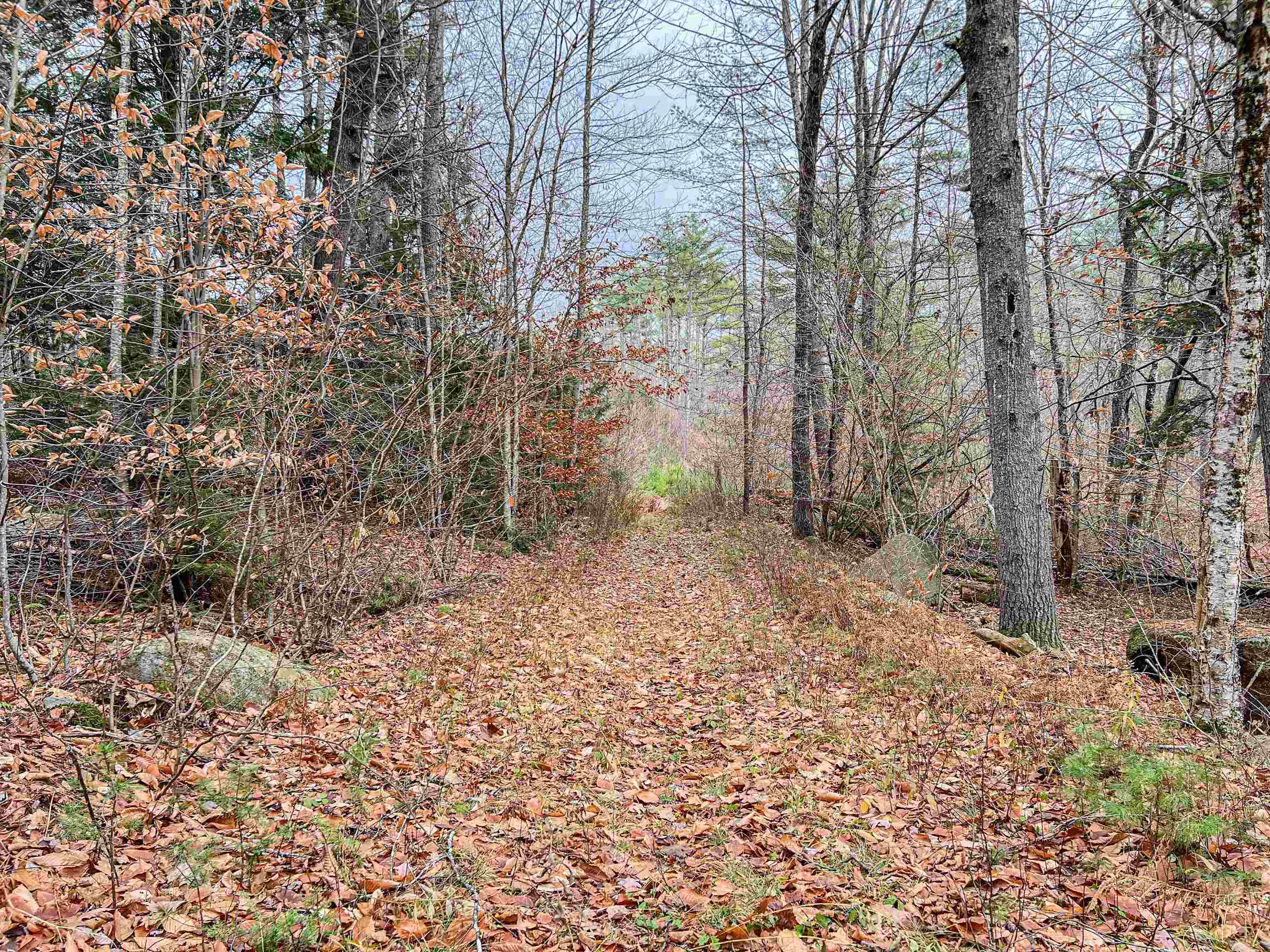 Lot 13 East Deering Road