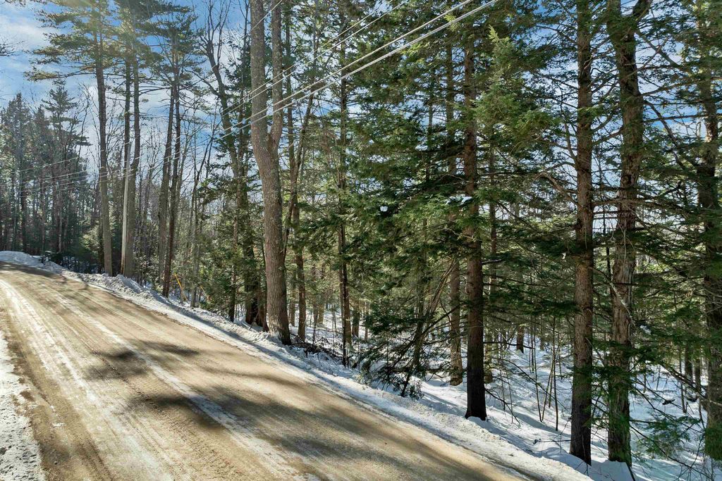 Photo of 0 Burnham Road, Freedom, NH 03836 (MLS # 5076320)