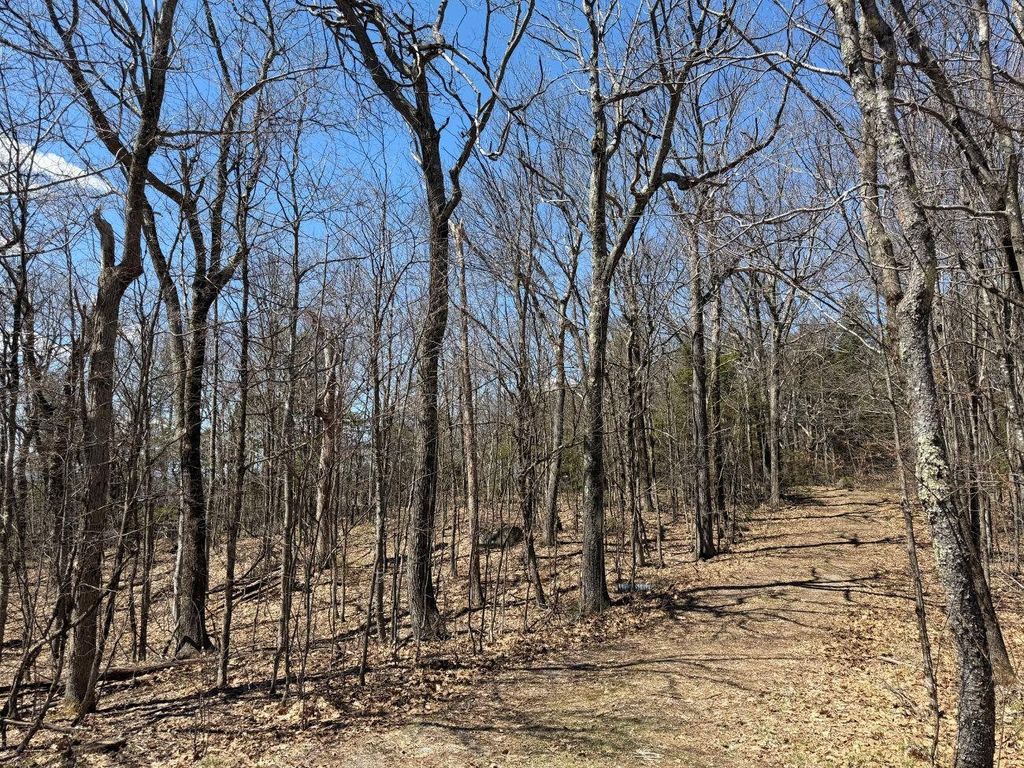 Photo of 0 Earls Lane, Lempster, NH 03605 (MLS # 5074864)