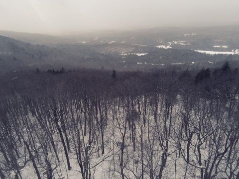 0 Earls Lane Lempster NH 03605