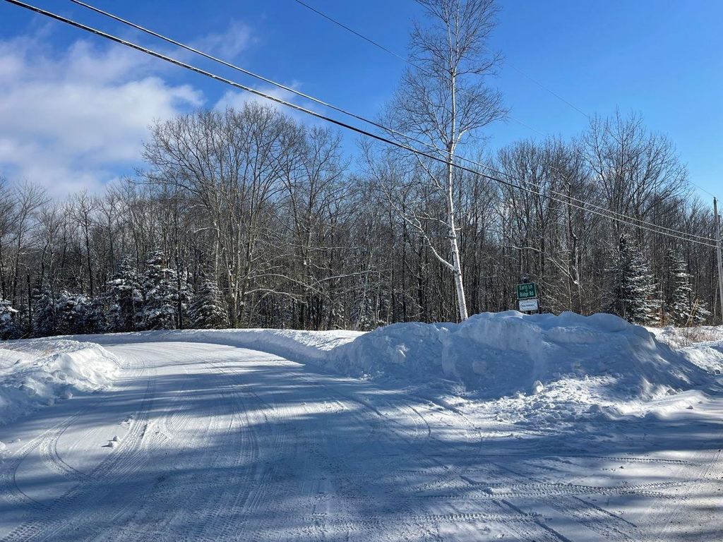 Photo of 0 Earls Lane, Lempster, NH 03605 (MLS # 5074864)