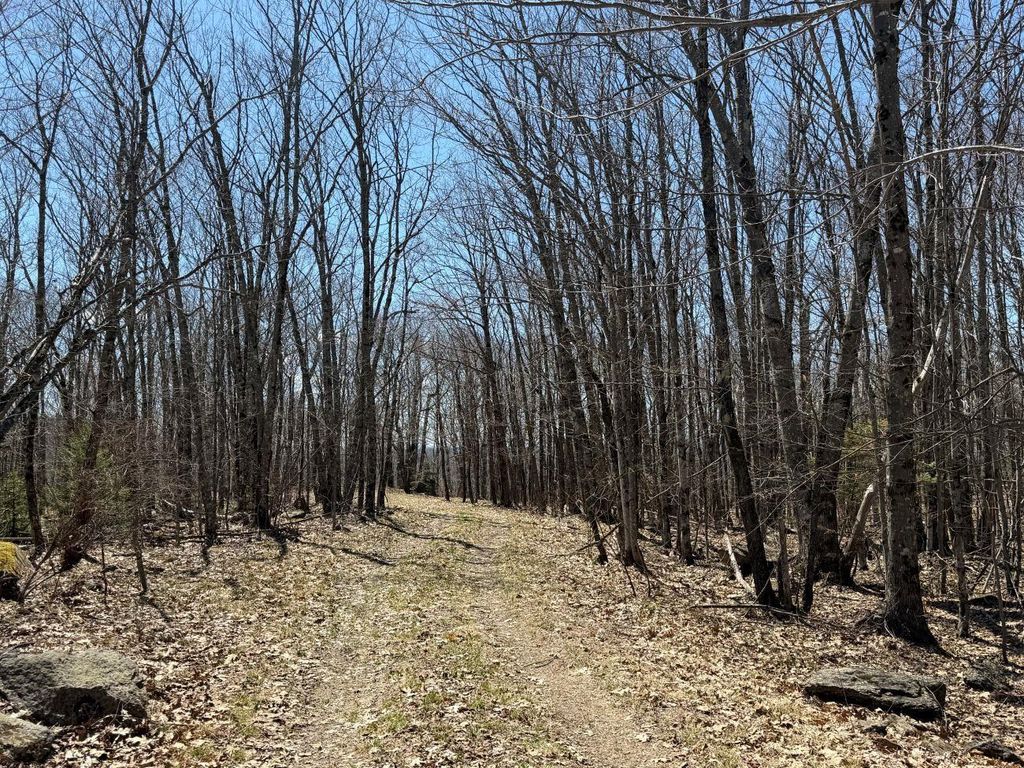 Photo of 0 Earls Lane, Lempster, NH 03605 (MLS # 5074864)