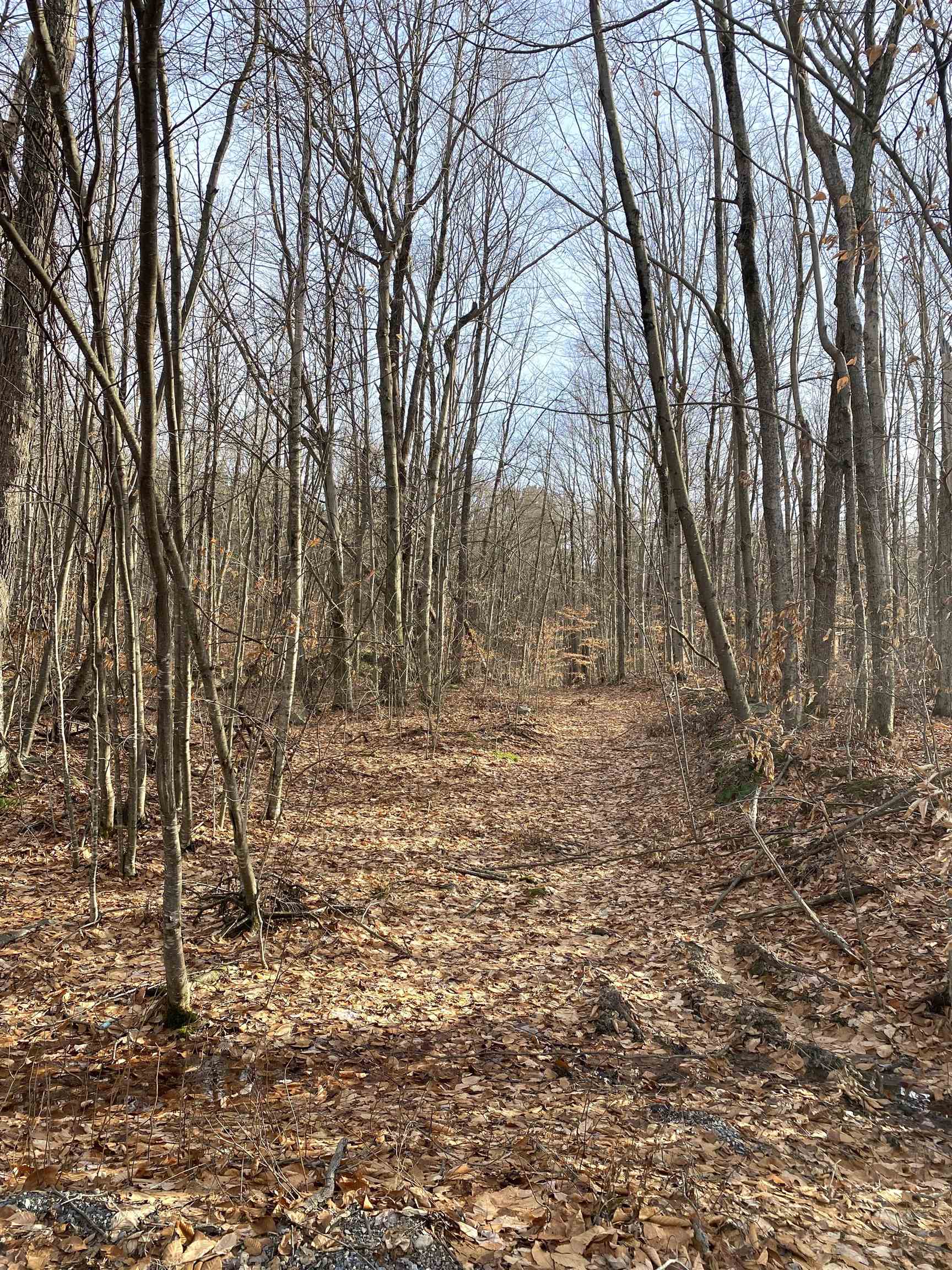 20 Forest Ridge Drive 14