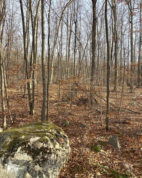 20 Forest Ridge Drive 14 Middlebury VT 05753