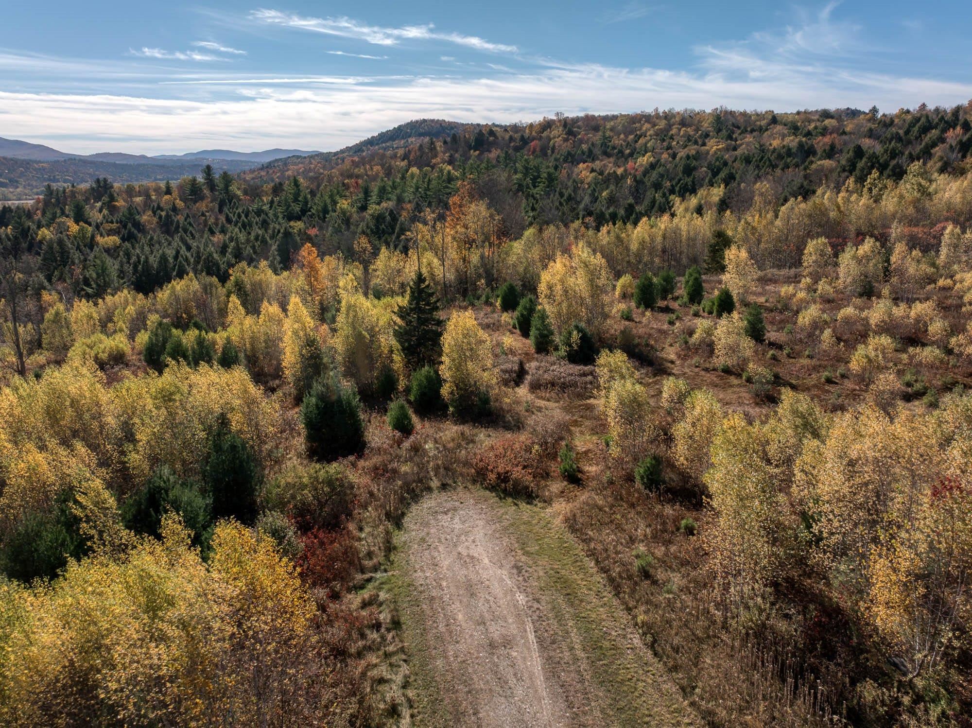 00 Birch Tree Lane Lot 3