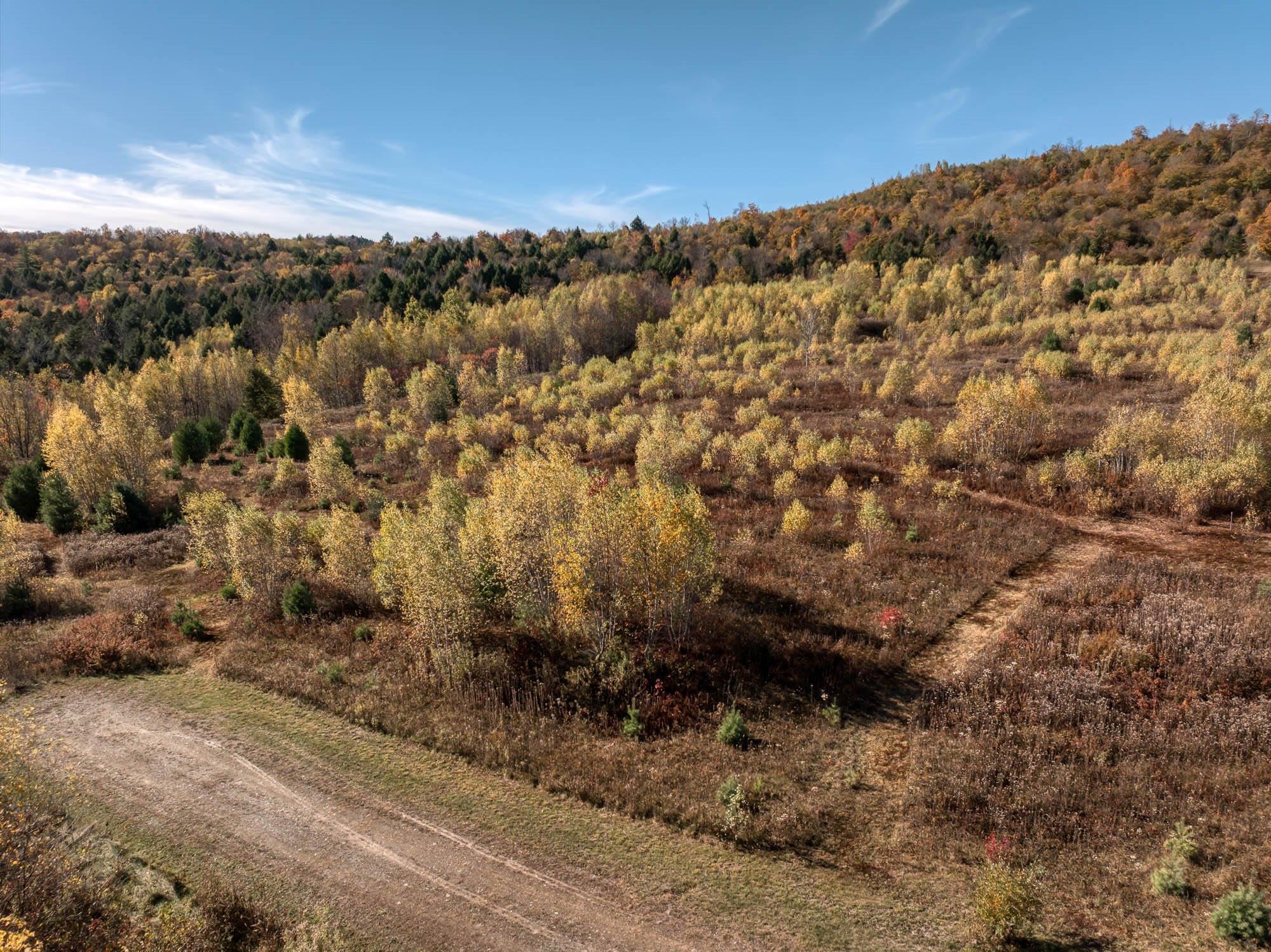 00 Birch Tree Lane Lot 3