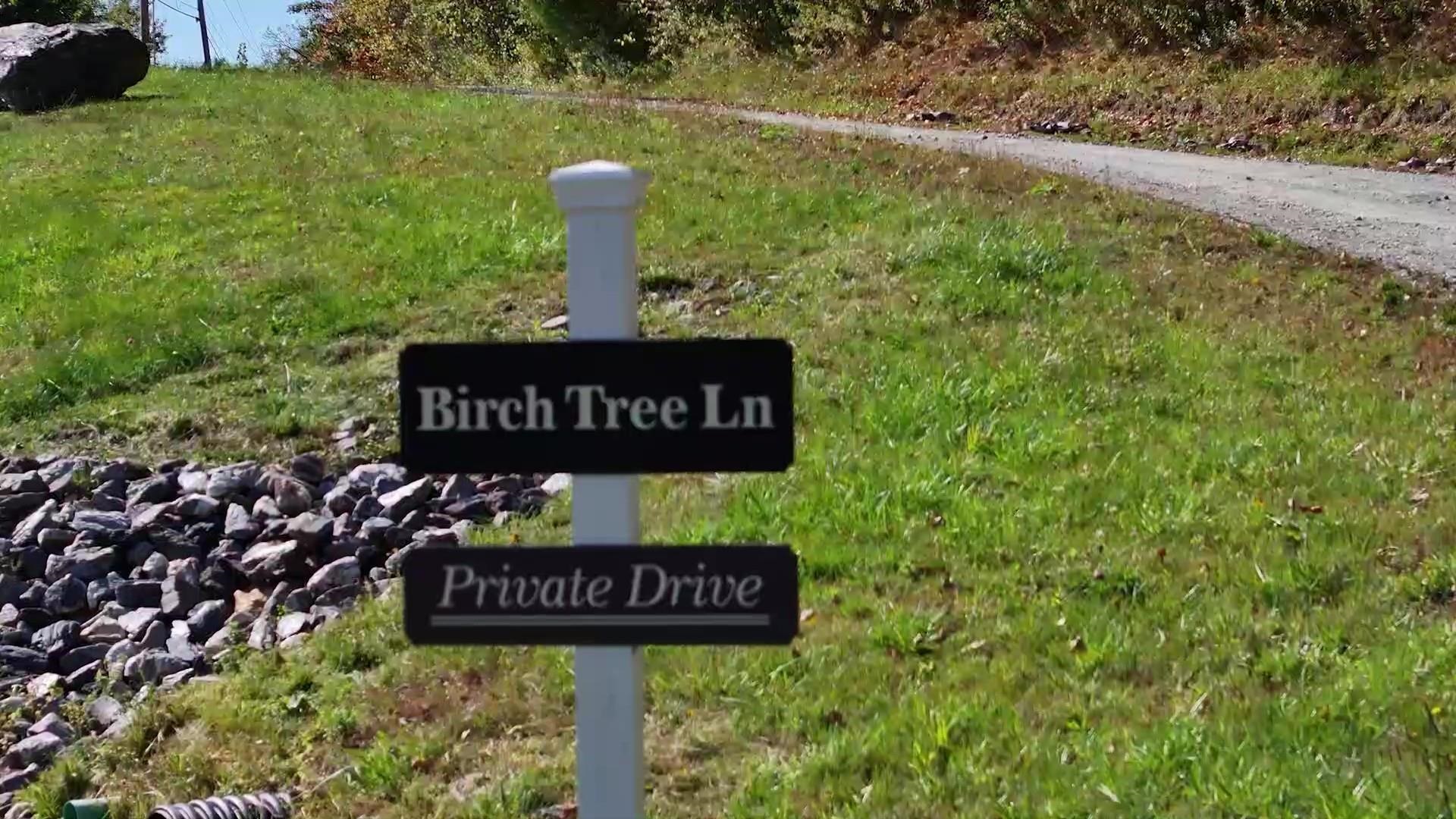 00 Birch Tree Lane Lot 3