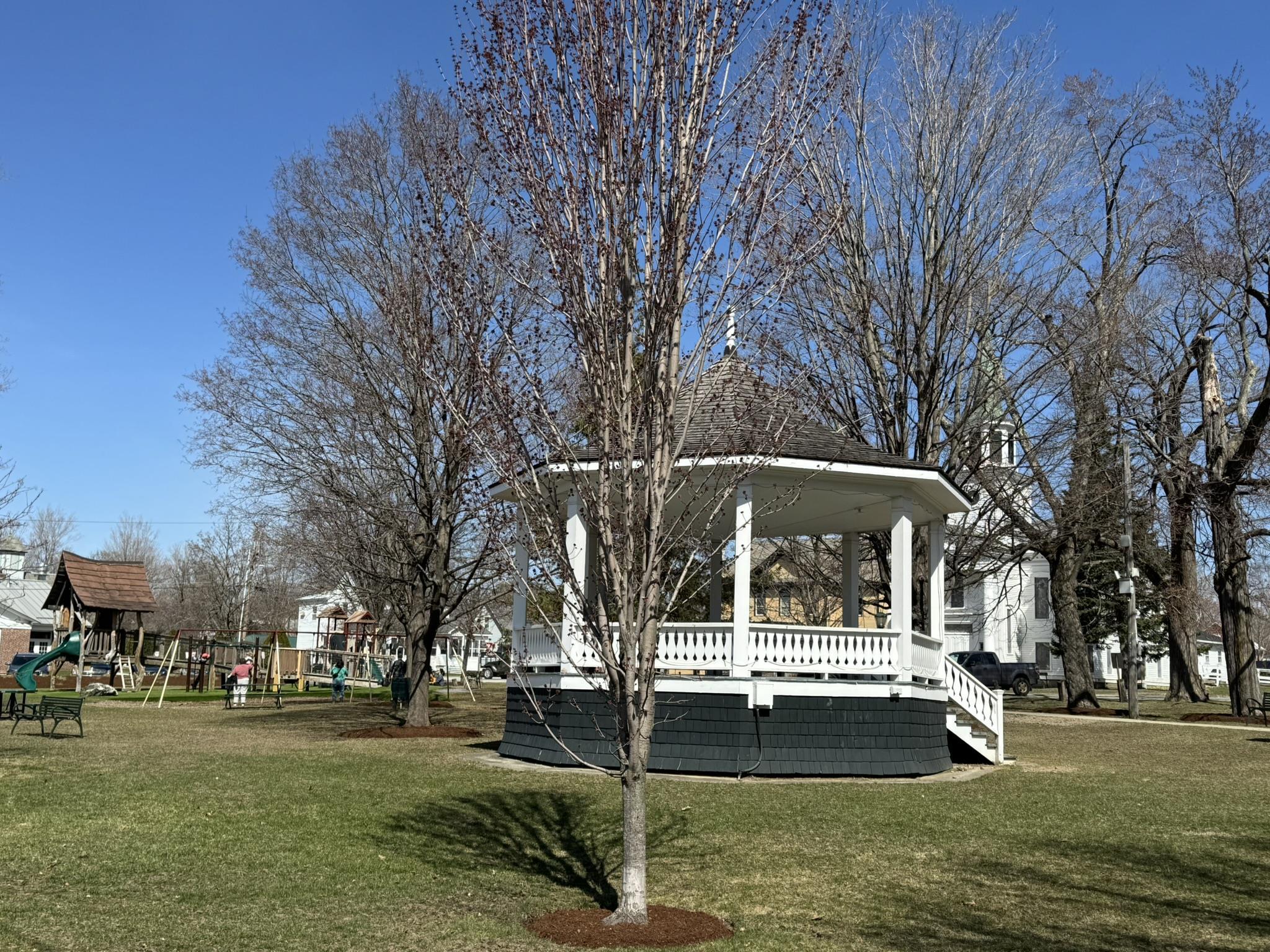 Bristol, Vermont 05443, United States, 3 Bedrooms Bedrooms, ,2 BathroomsBathrooms,Residential,Pending,109765