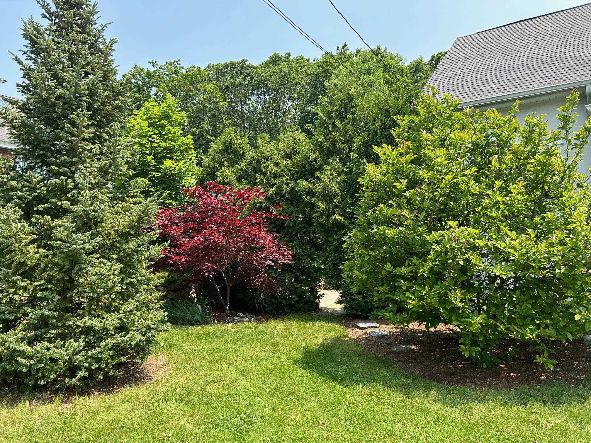 9 Woodlawn Avenue