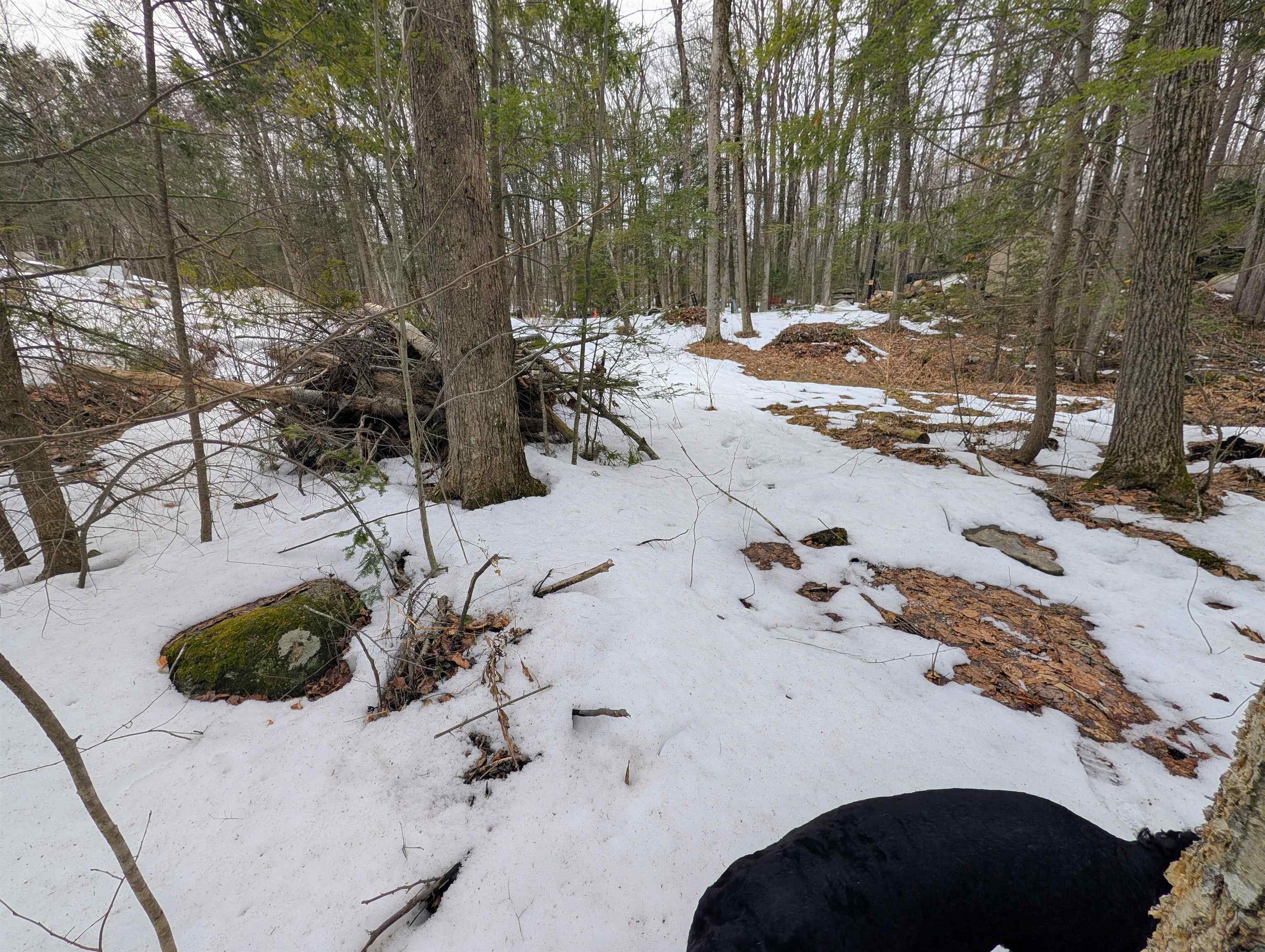 19 King Arthur Drive 016