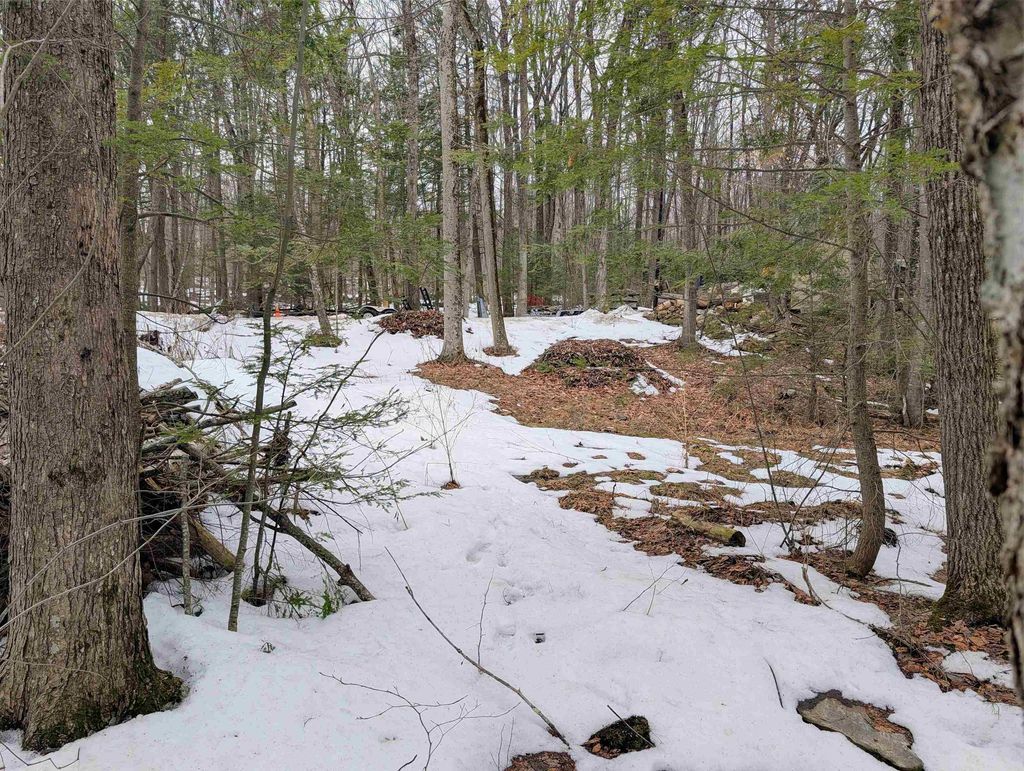 Photo of 19 King Arthur Drive #016, Farmington, NH 03835 (MLS # 5079324)
