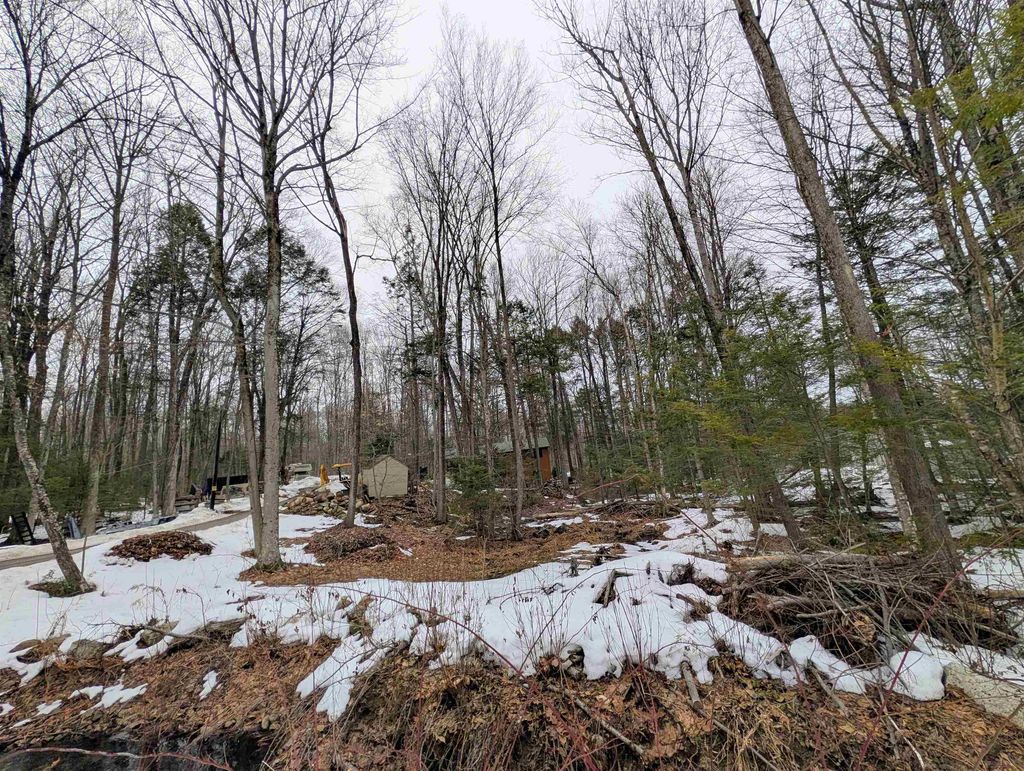 Photo of 19 King Arthur Drive #016, Farmington, NH 03835 (MLS # 5079324)
