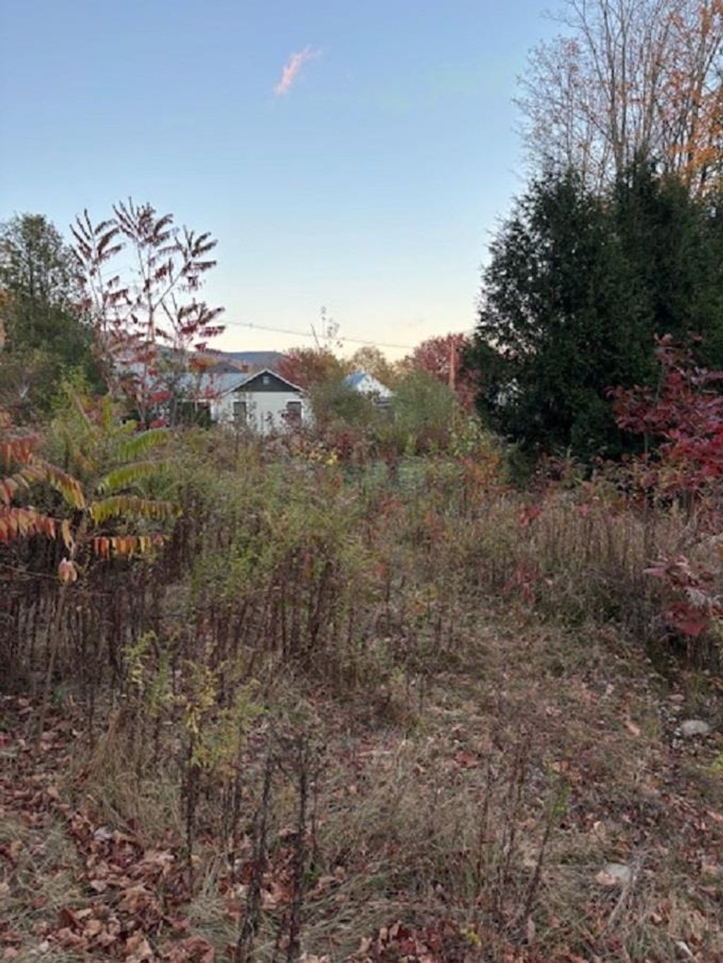 Photo of 0 Pleasant Street, Lincoln, NH 03251 (MLS # 5066281)