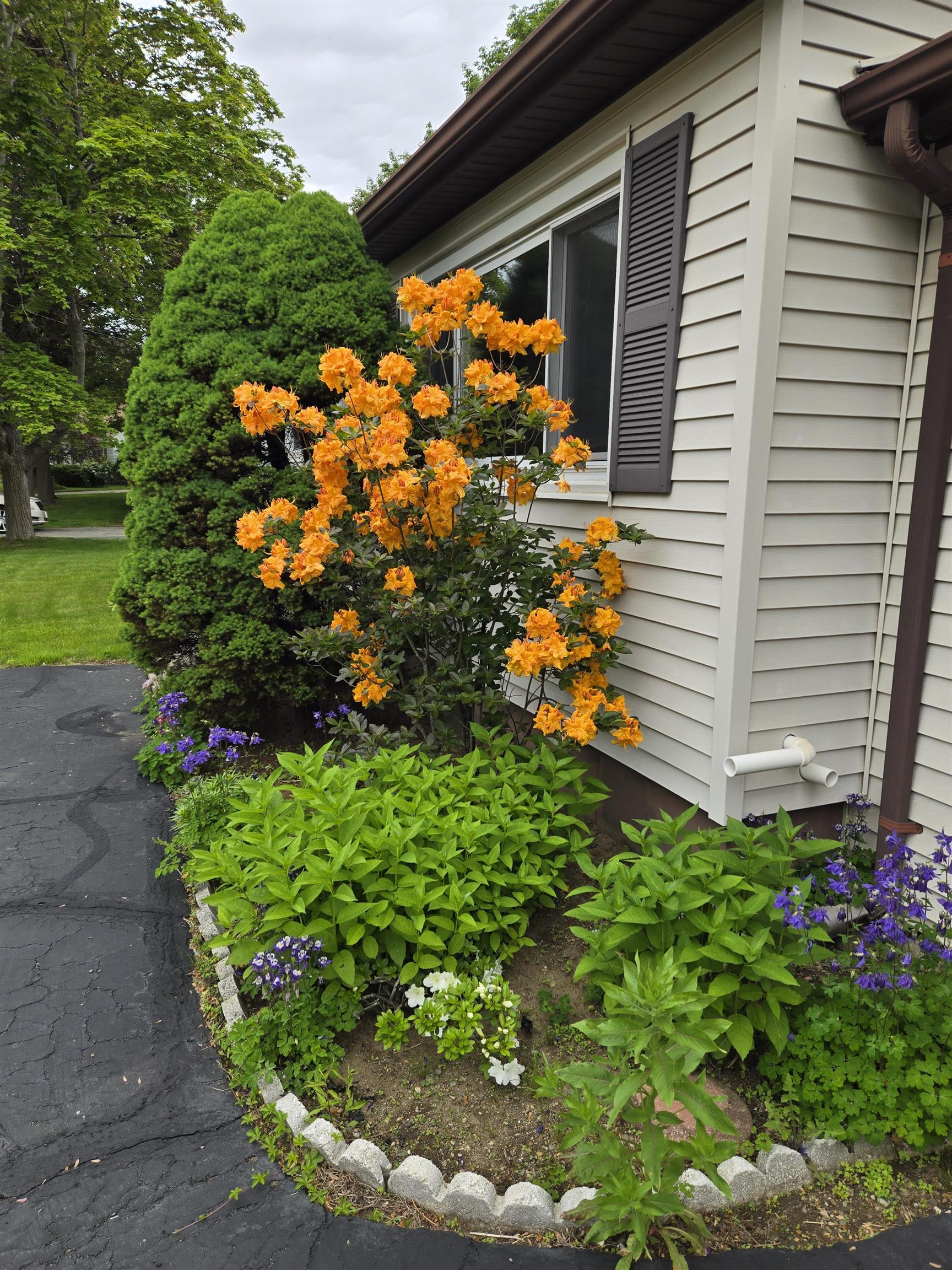 9 Mariette Drive