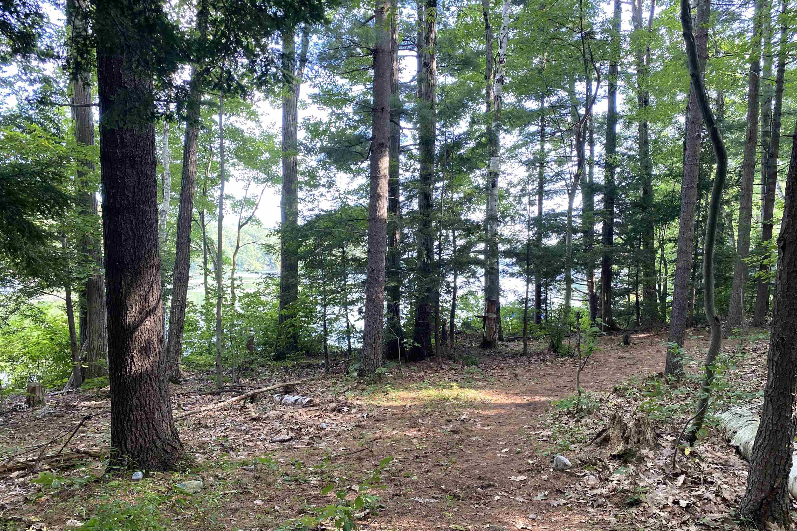 Salisbury, Vermont 05769, United States, 2 Bedrooms Bedrooms, ,1 BathroomBathrooms,Residential,Pending,182988