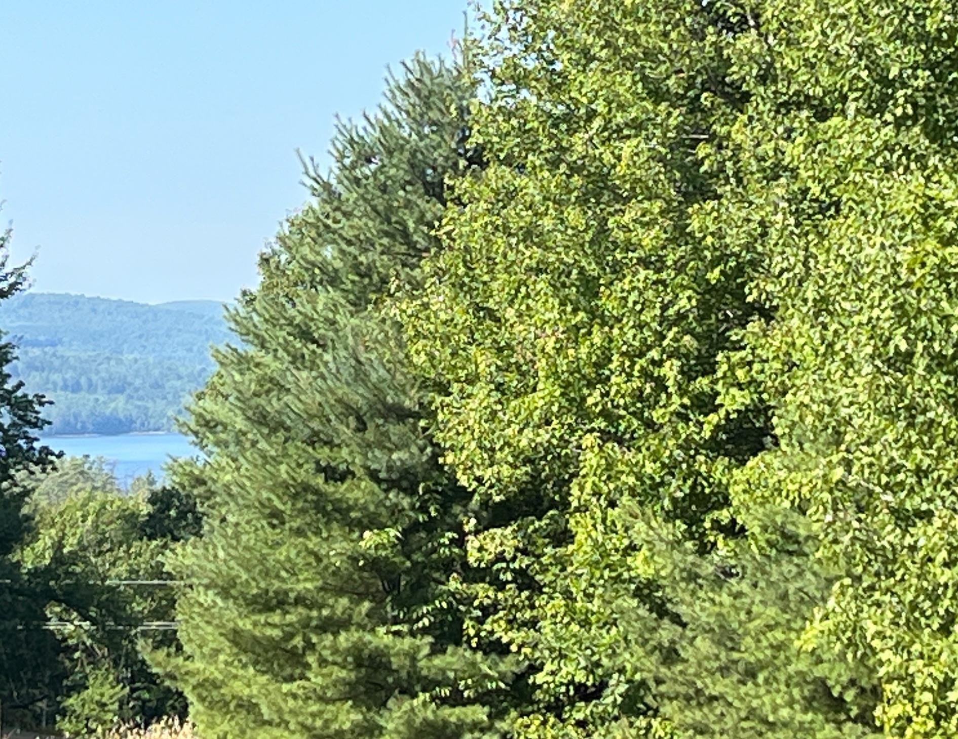 Lot 67 Williams Road