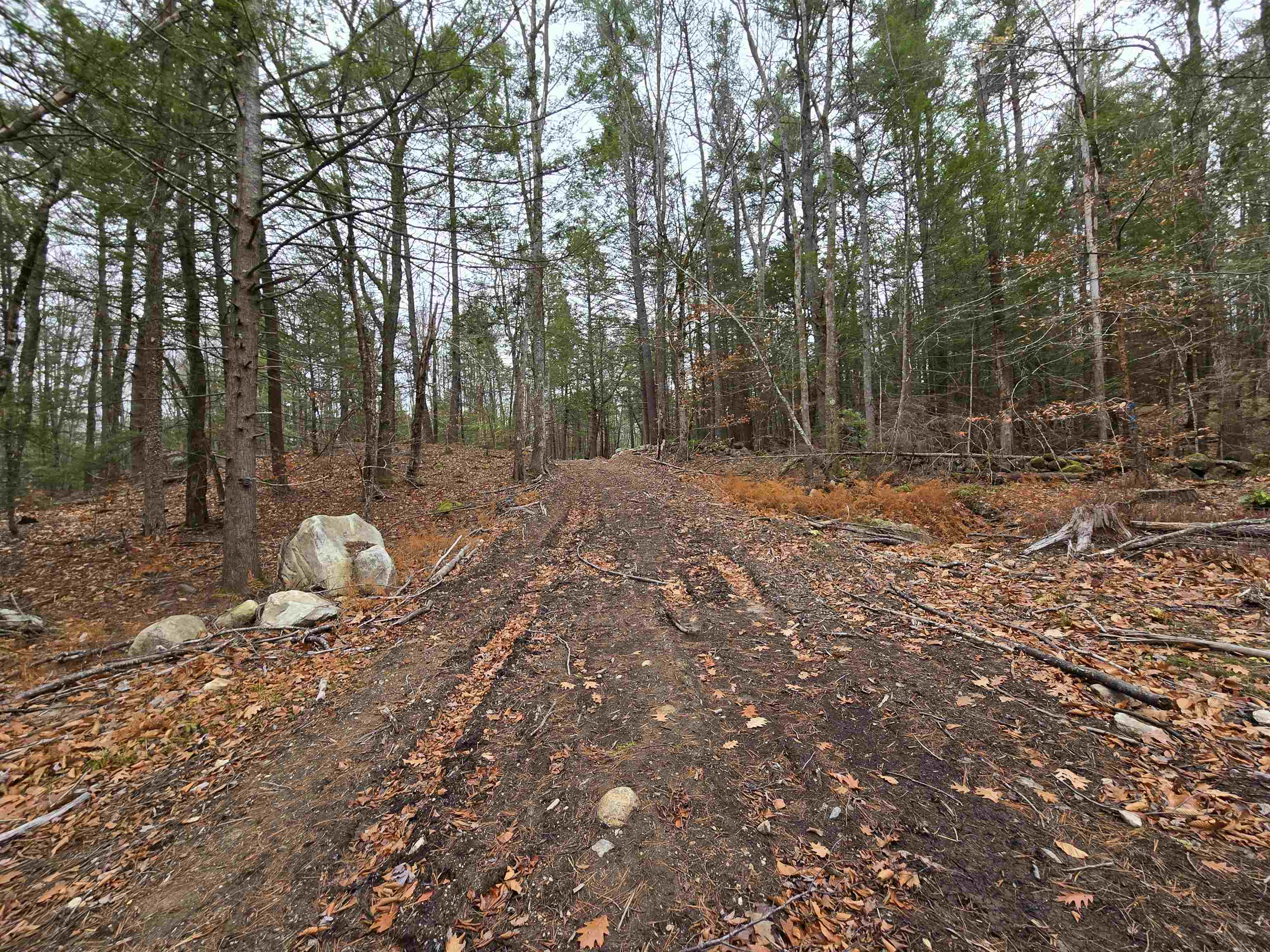 Candia, New Hampshire 03034, United States, 3 Bedrooms Bedrooms, ,3 BathroomsBathrooms,Residential,Active,235069