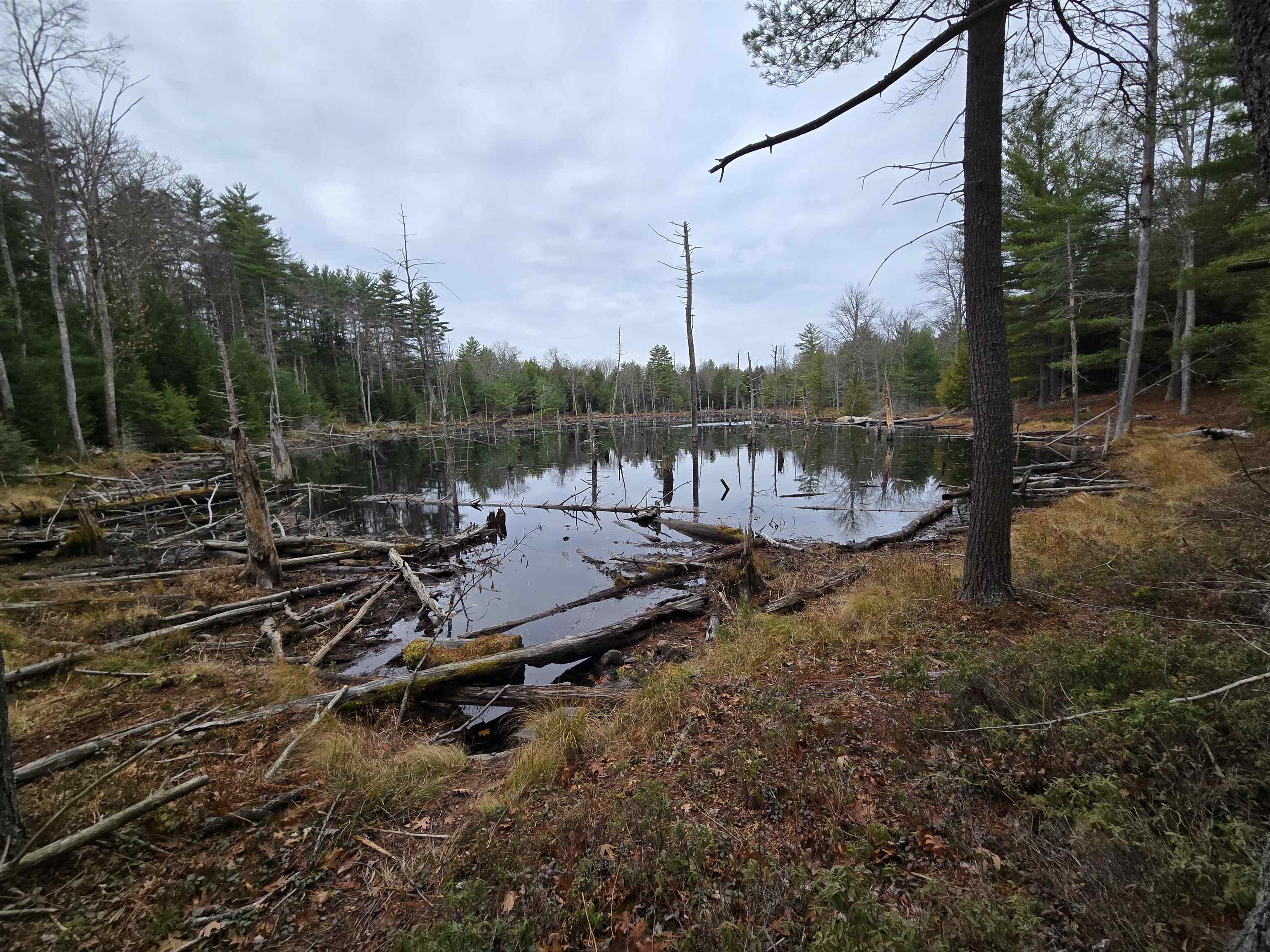 Candia, New Hampshire 03034, United States, 3 Bedrooms Bedrooms, ,3 BathroomsBathrooms,Residential,Active,235069