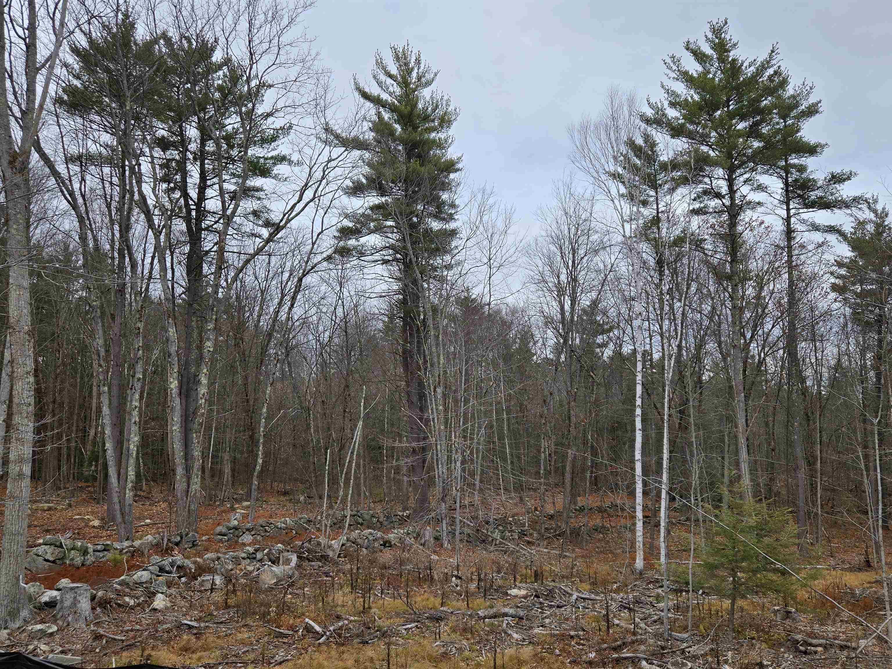 Candia, New Hampshire 03034, United States, 3 Bedrooms Bedrooms, ,3 BathroomsBathrooms,Residential,Active,235069