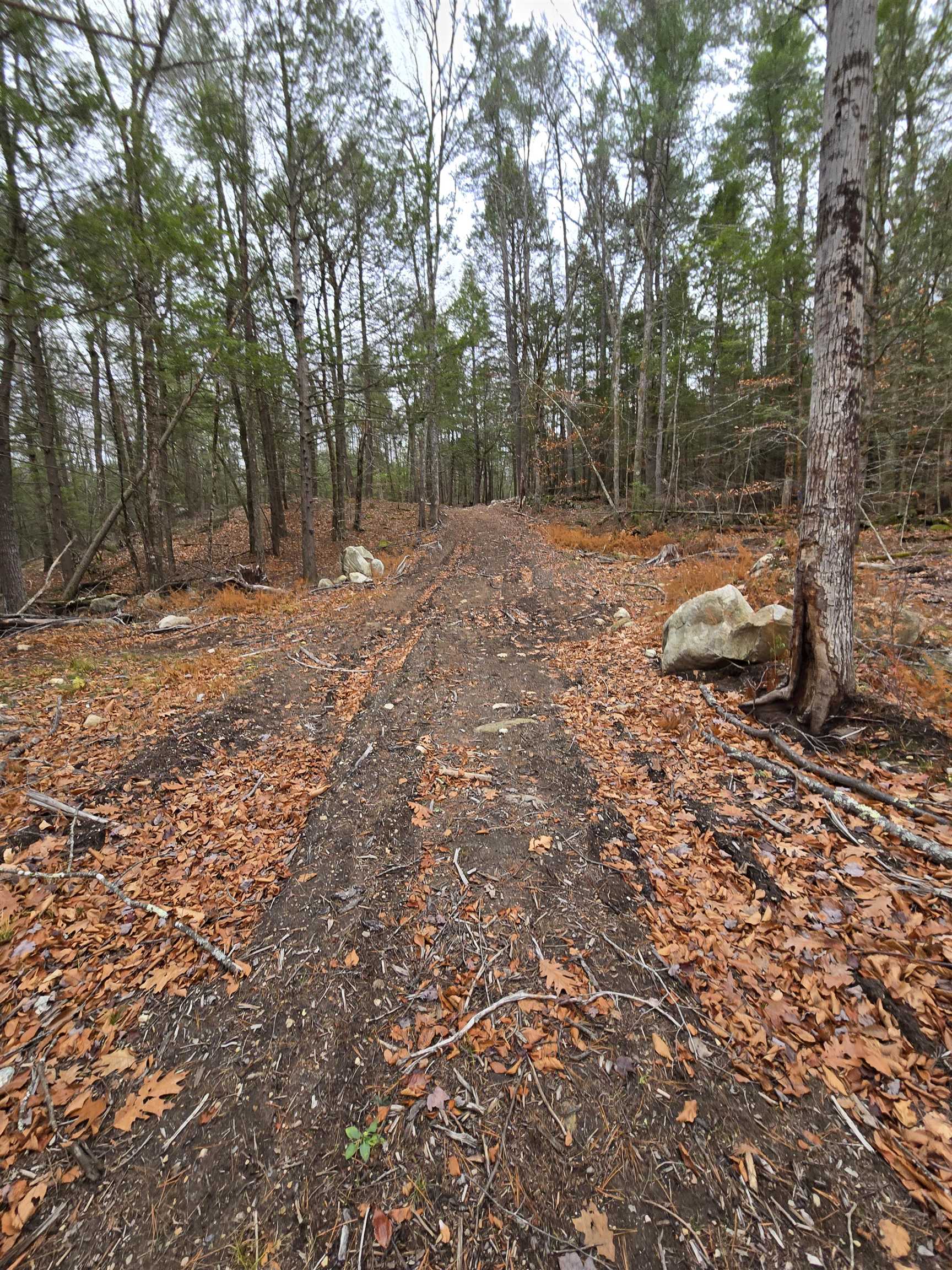 Candia, New Hampshire 03034, United States, 3 Bedrooms Bedrooms, ,3 BathroomsBathrooms,Residential,Active,235069