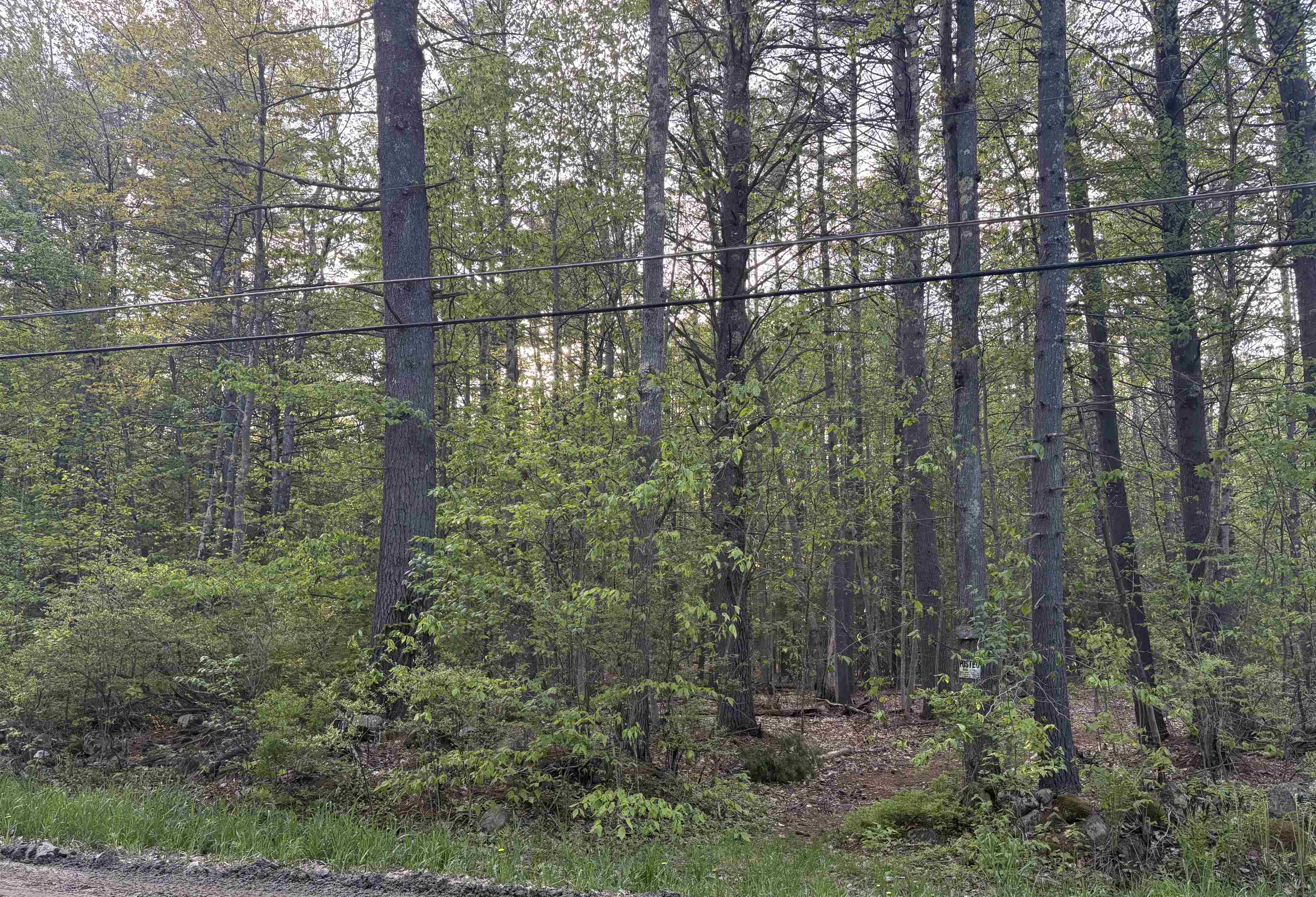 Lot 80 Currier Road