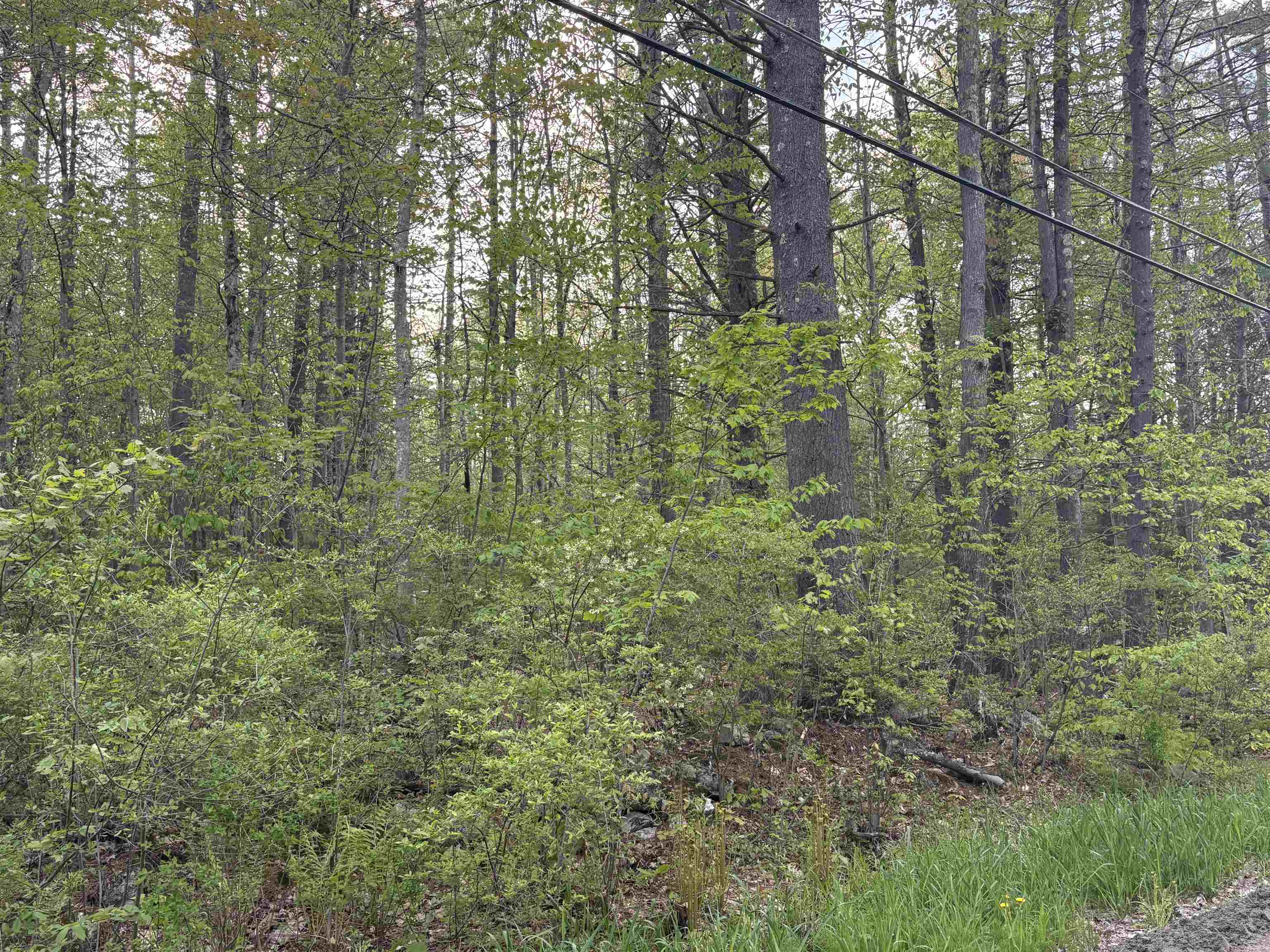 Photo 1 of 22 — Lot 80 Currier Road, Candia, NH 03034