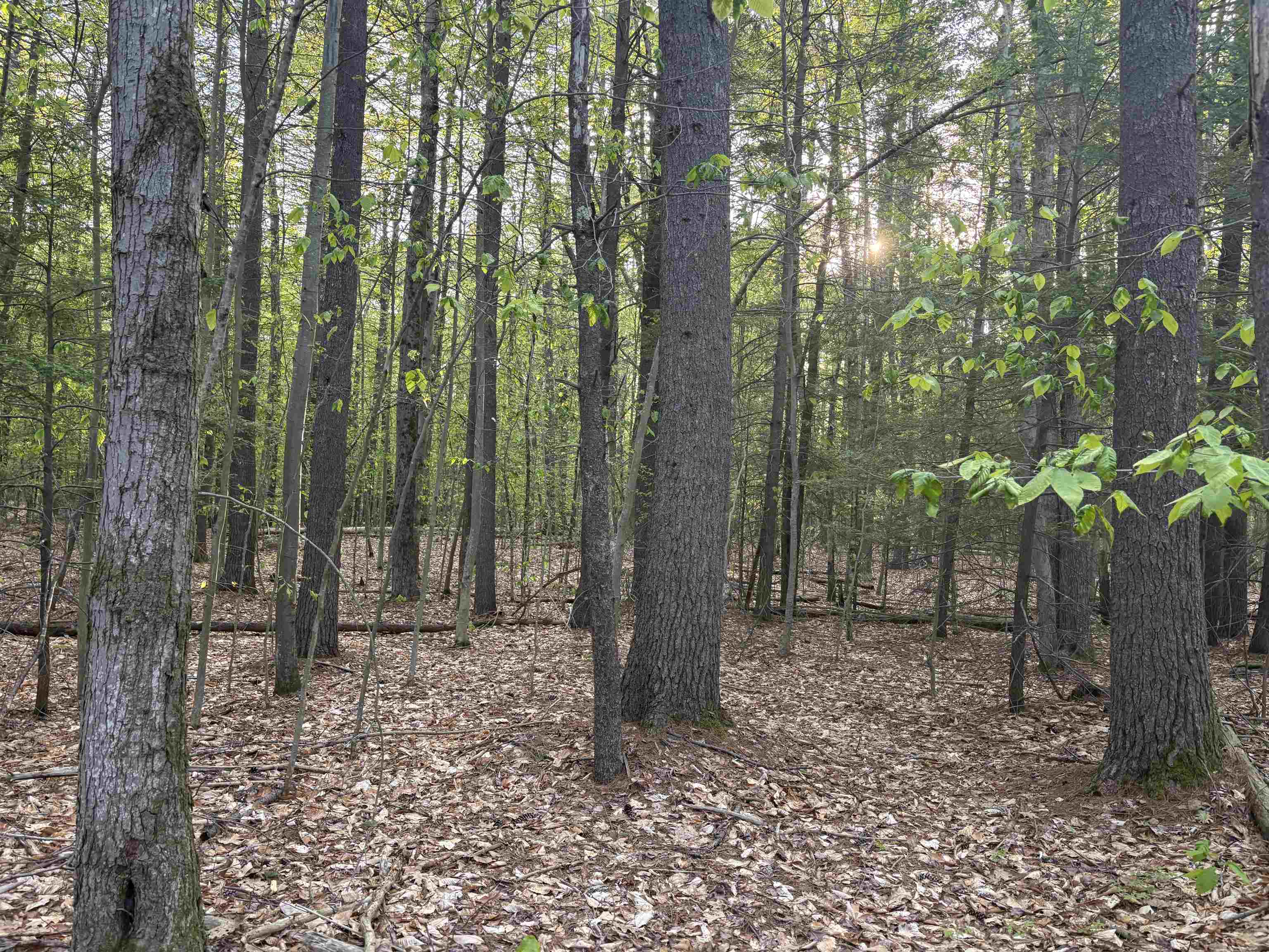 Lot 80 Currier Road