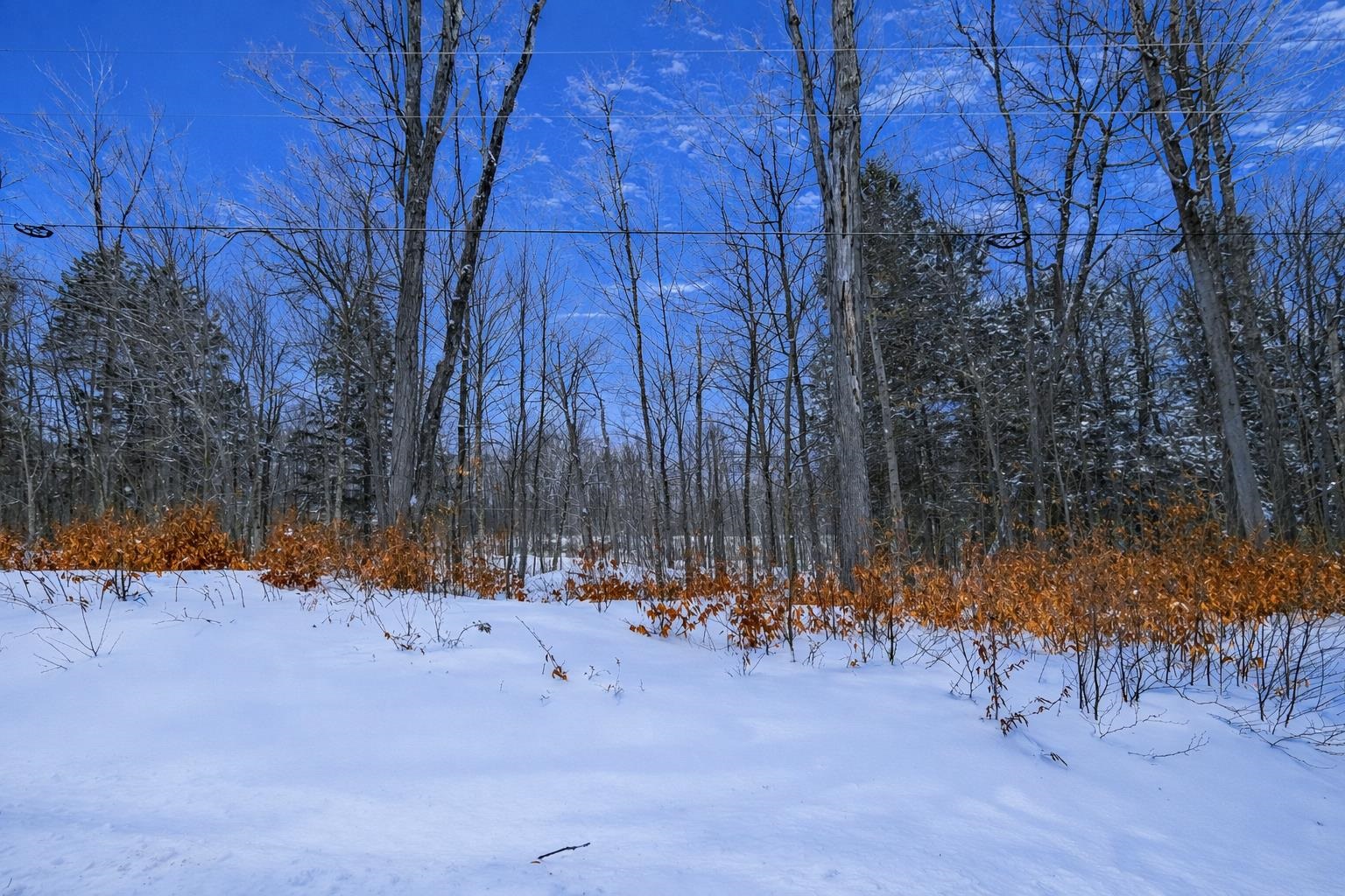 Lot 1 Timber Creek Road Lot 1