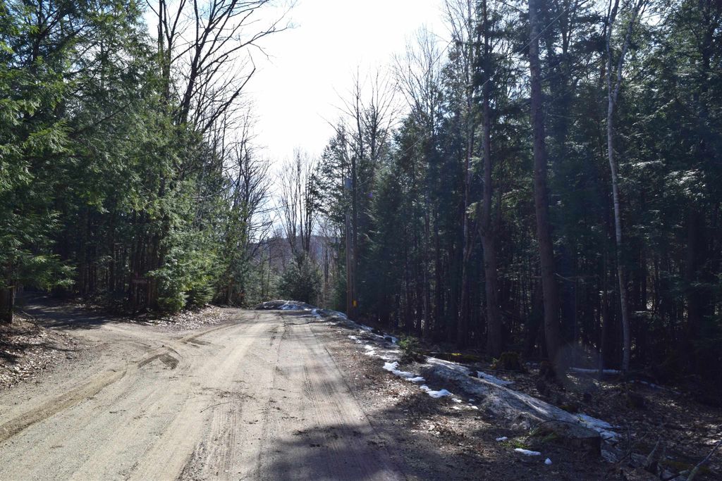 Photo of 185 Hanover Drive #185, Haverhill, NH 03765 (MLS # 5082208)