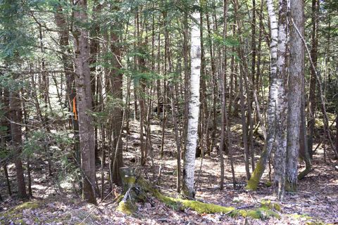 Lot 185 Hanover Drive 185 Haverhill NH 03765