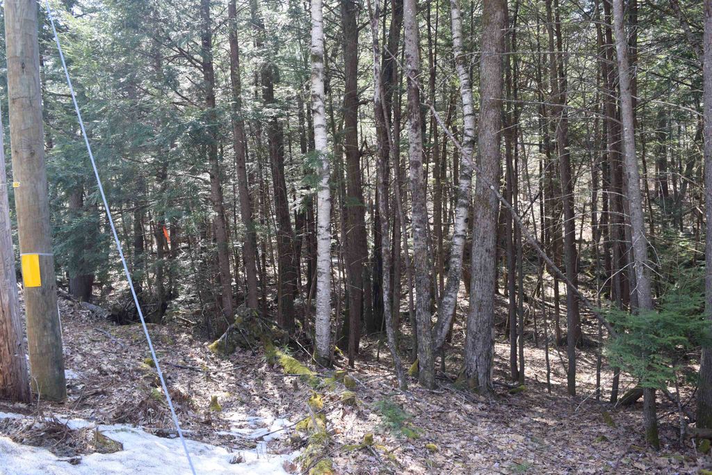 Photo of 185 Hanover Drive #185, Haverhill, NH 03765 (MLS # 5082208)