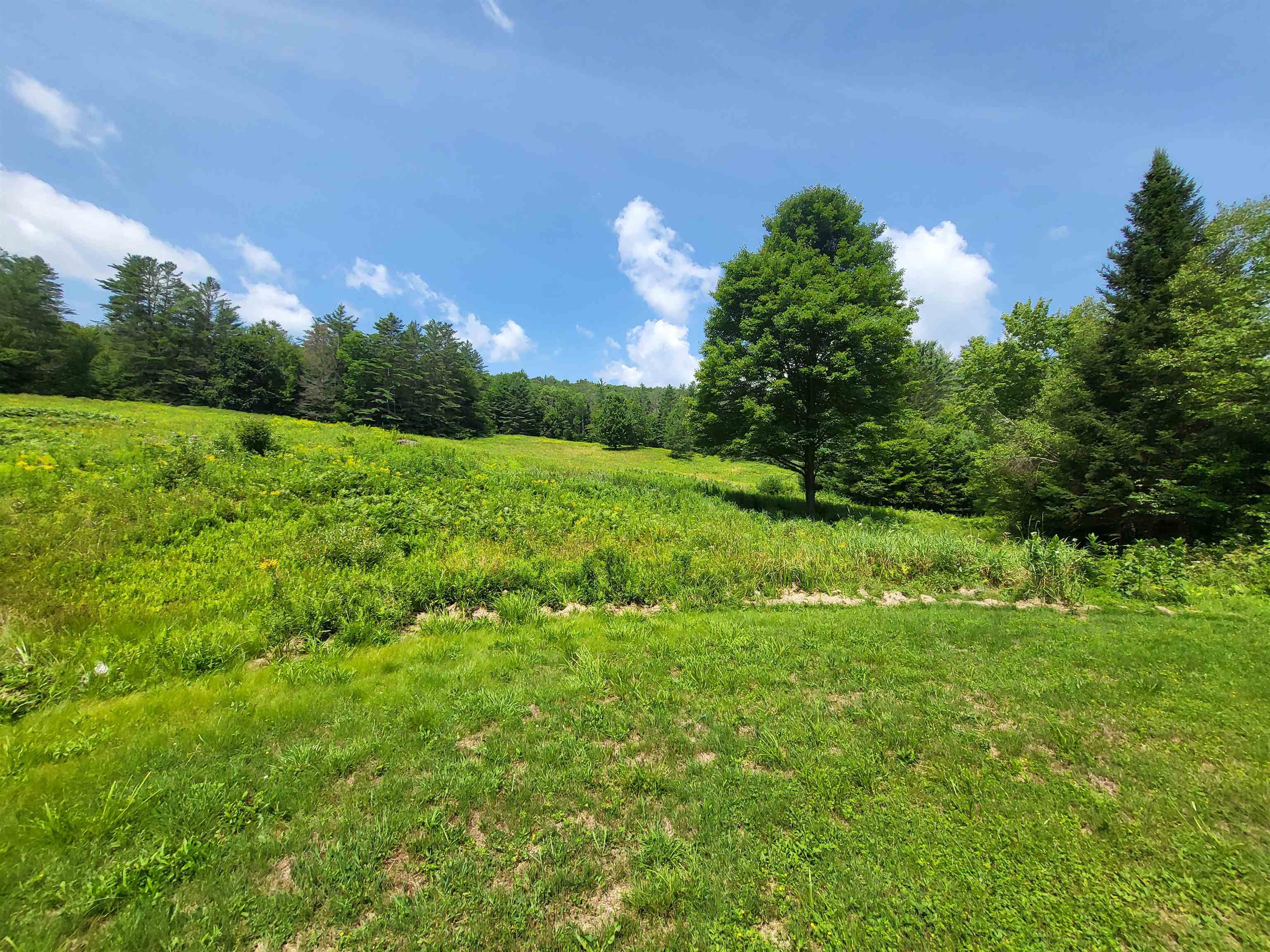 Middlesex, Vermont 05602, United States, 3 Bedrooms Bedrooms, ,5 BathroomsBathrooms,Residential,Active,177541