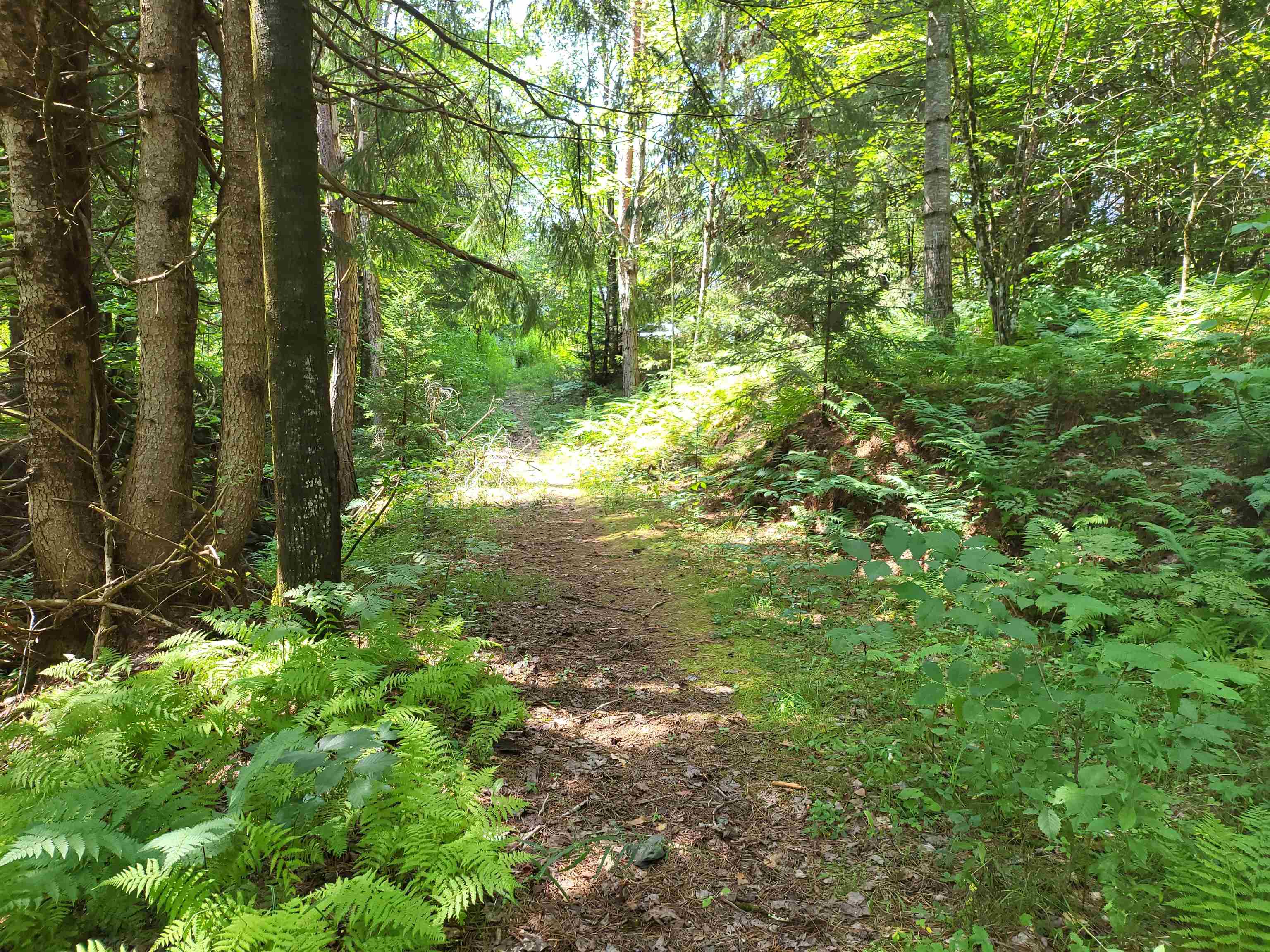 Middlesex, Vermont 05602, United States, 3 Bedrooms Bedrooms, ,5 BathroomsBathrooms,Residential,Active,177541