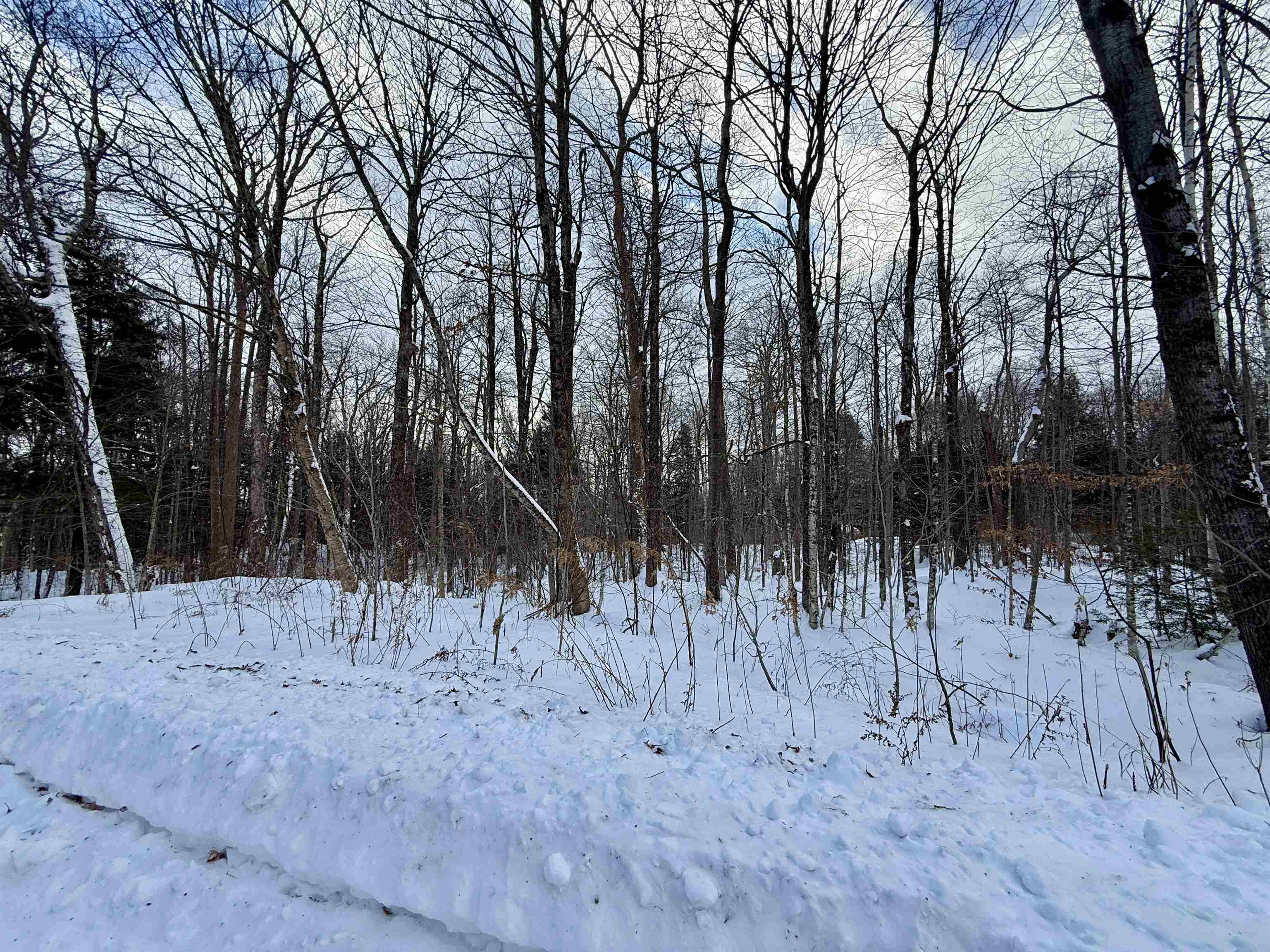 Lot 4 -156 High Peak Way