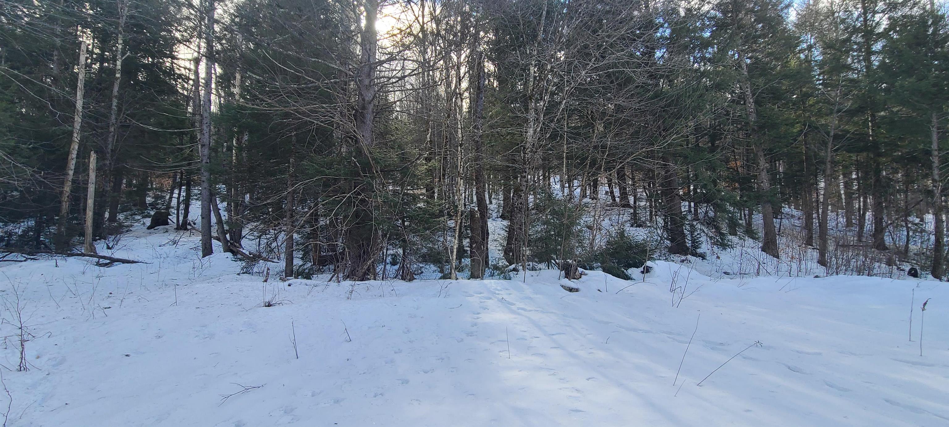 8559 VT Route 30 Lots 2 & 3