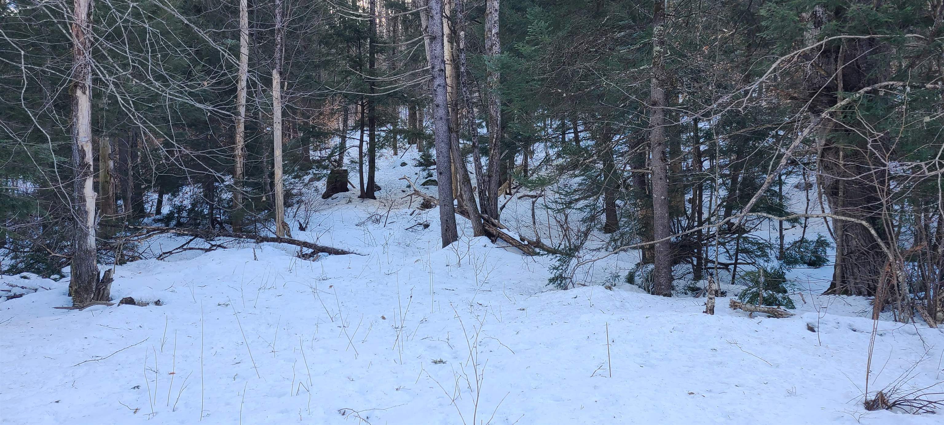 8559 VT Route 30 Lots 2 & 3