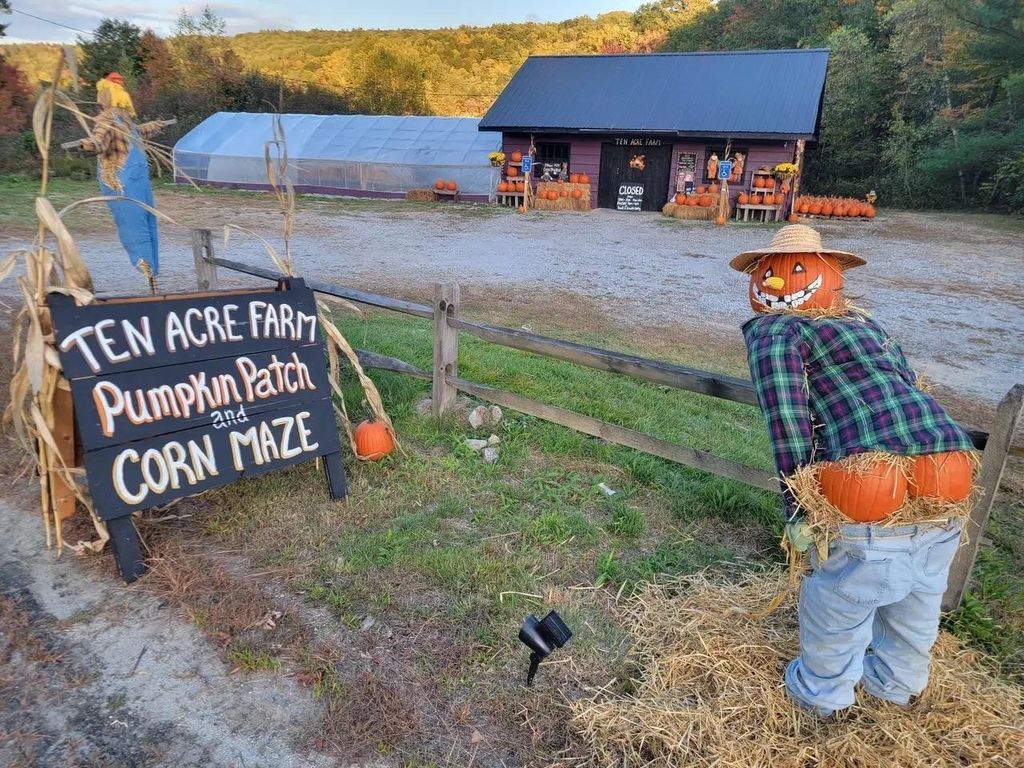 Photo of 279 Henniker Street, Hillsborough, NH 03244 (MLS # 5083040)