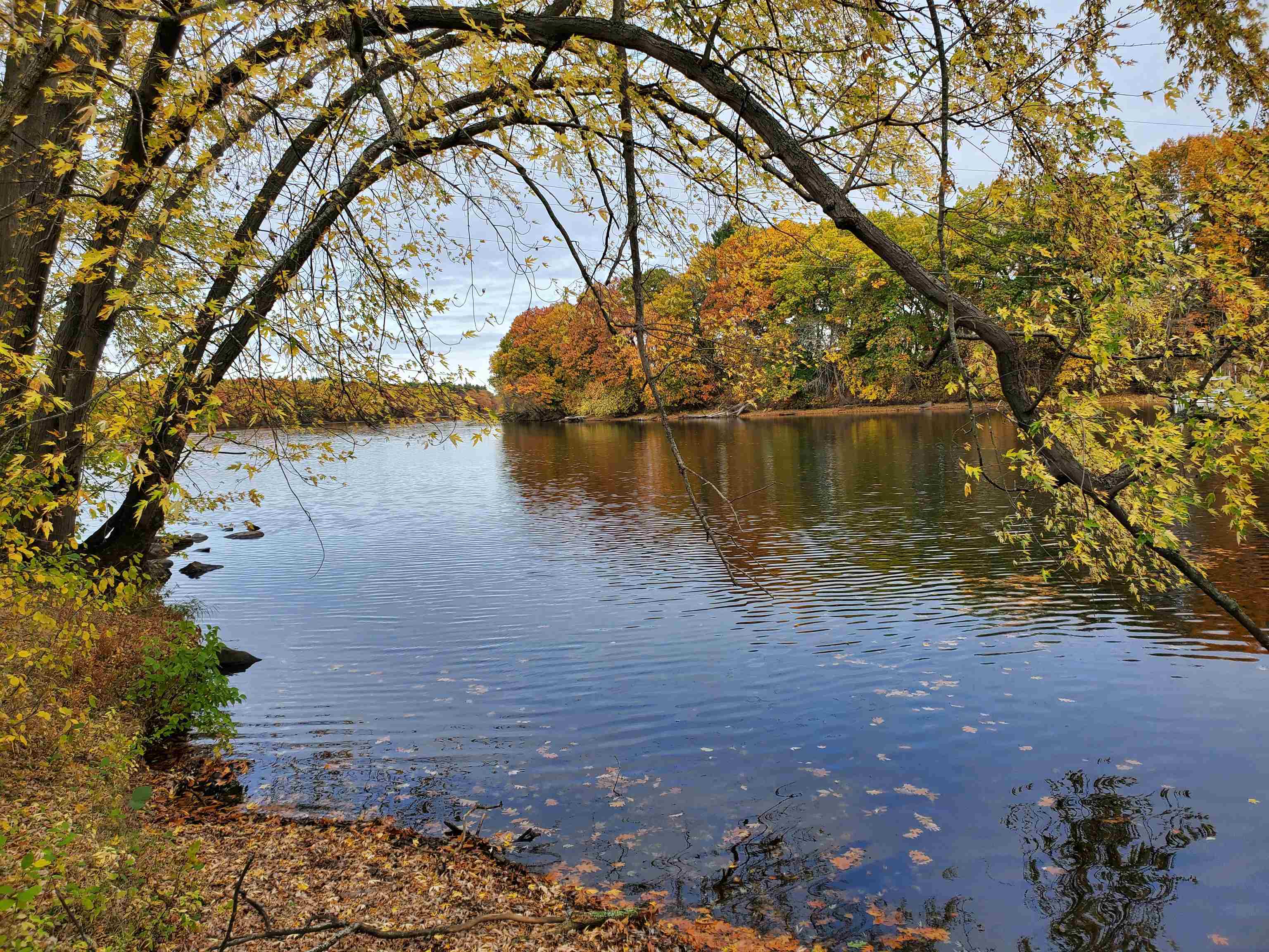 16 Walden Pond Drive