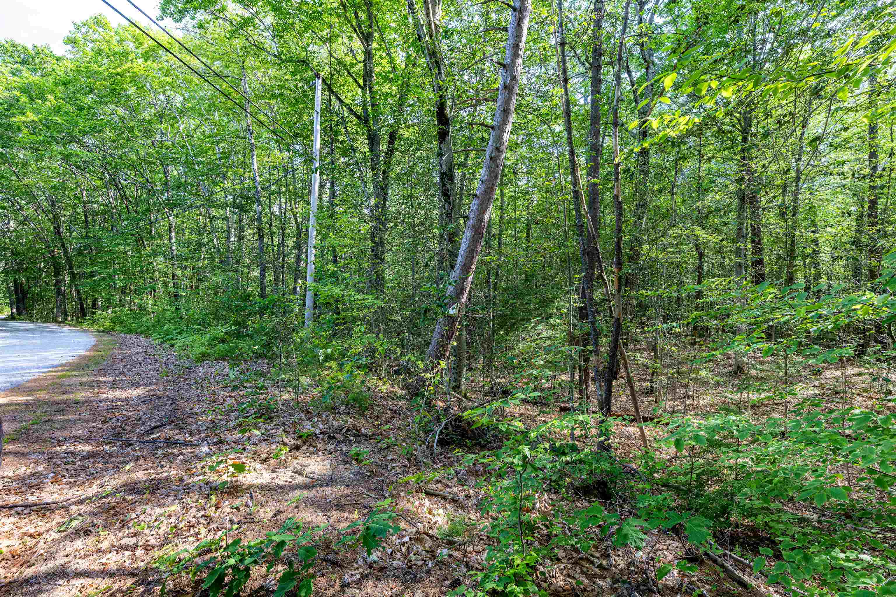 Lot 29.1 South Road